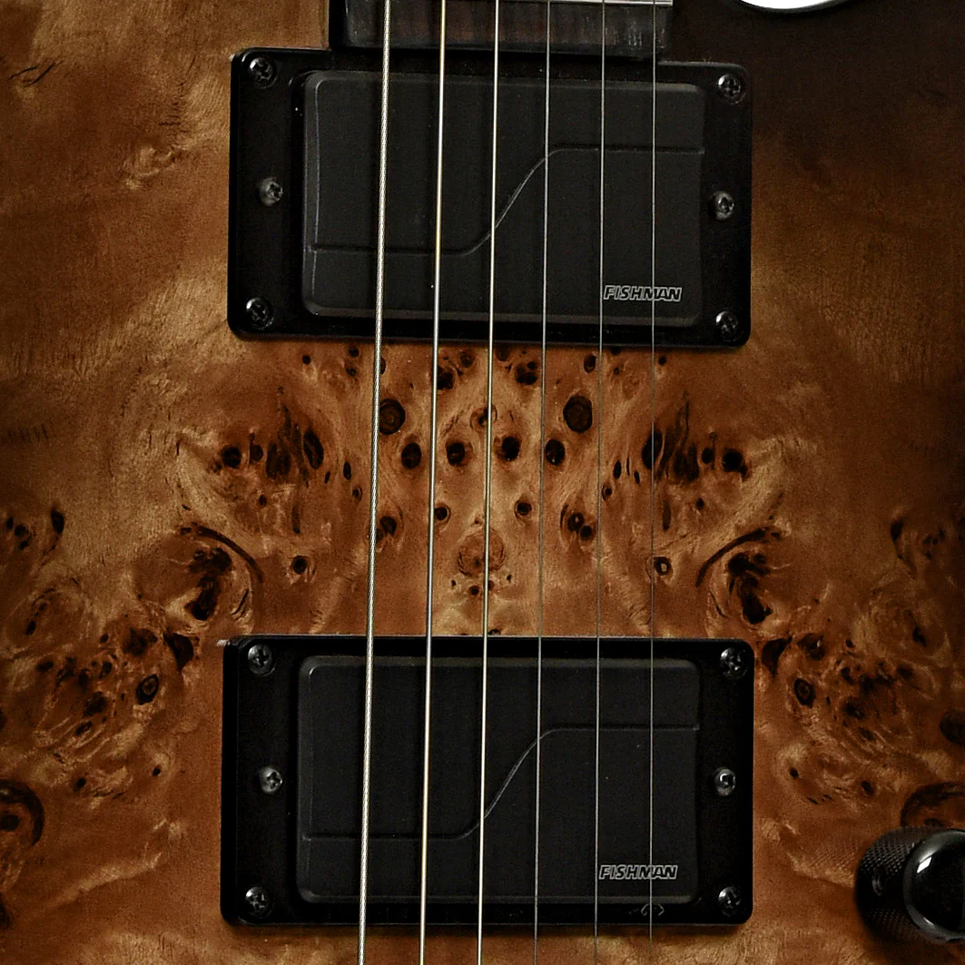 ESP LTD TE-1000 Deluxe Evertune Electric Guitar (2023) - Image 6
