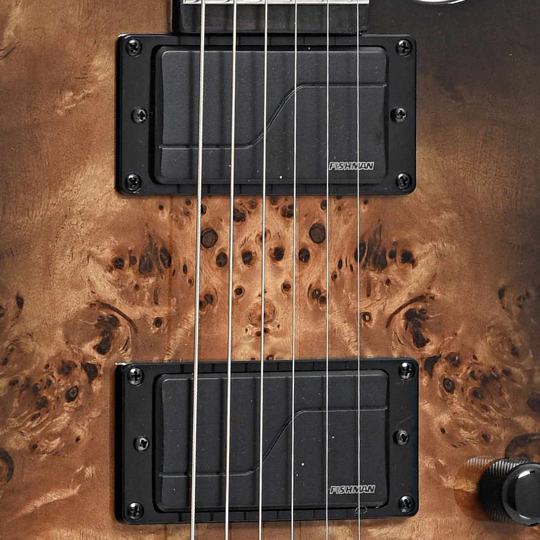 ESP LTD TE-1000 Evertune Electric Guitar, Poplar Burl Charcoal Burst - Image 6