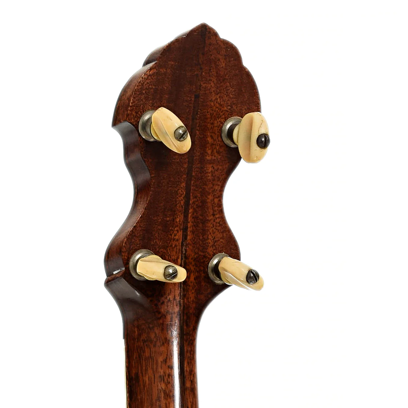 Fairbanks / Unger Conversion Open Back banjo (1890s/2000s) - Image 9