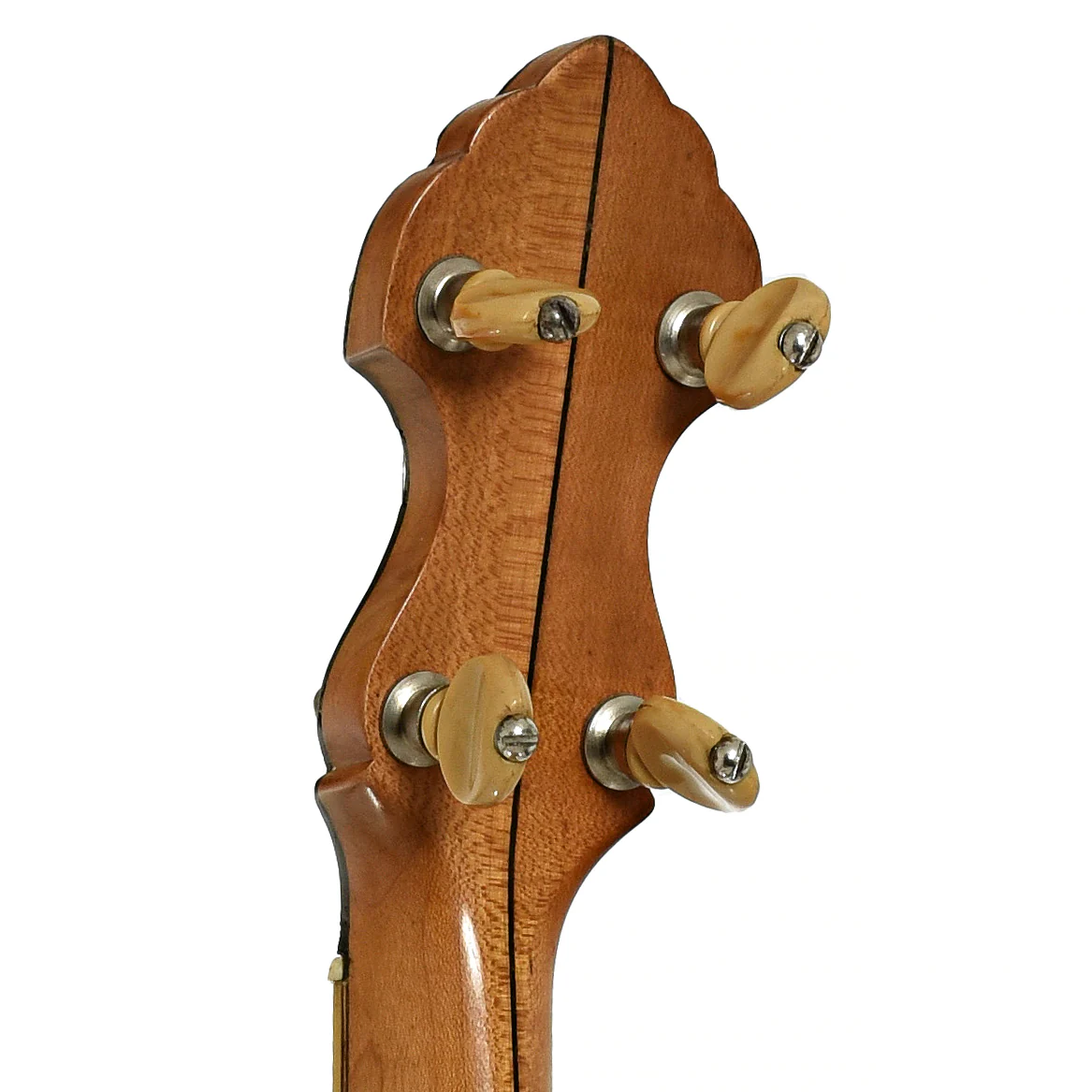 Fairbanks Whyte Laydie No.2 Open Back Banjo (1902) - Image 9