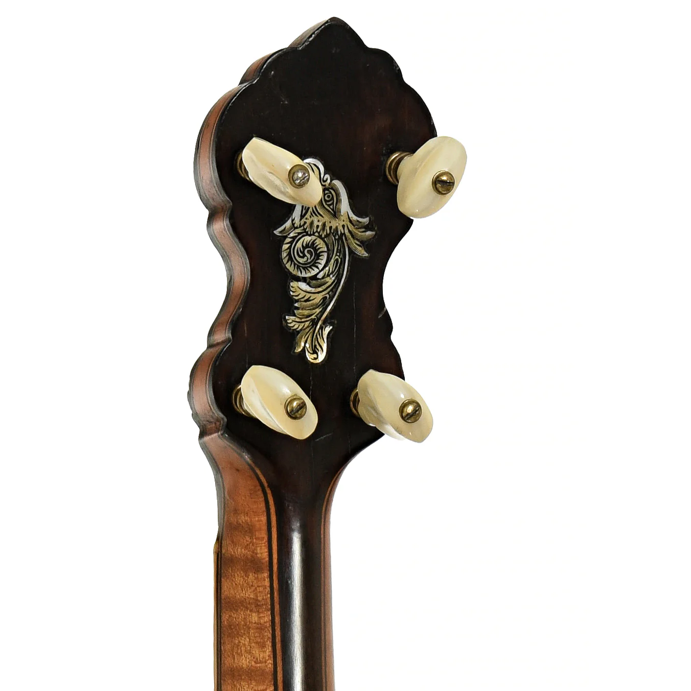Fairbanks Whyte Laydie No.7 Open Back Banjo (1906) - Image 9