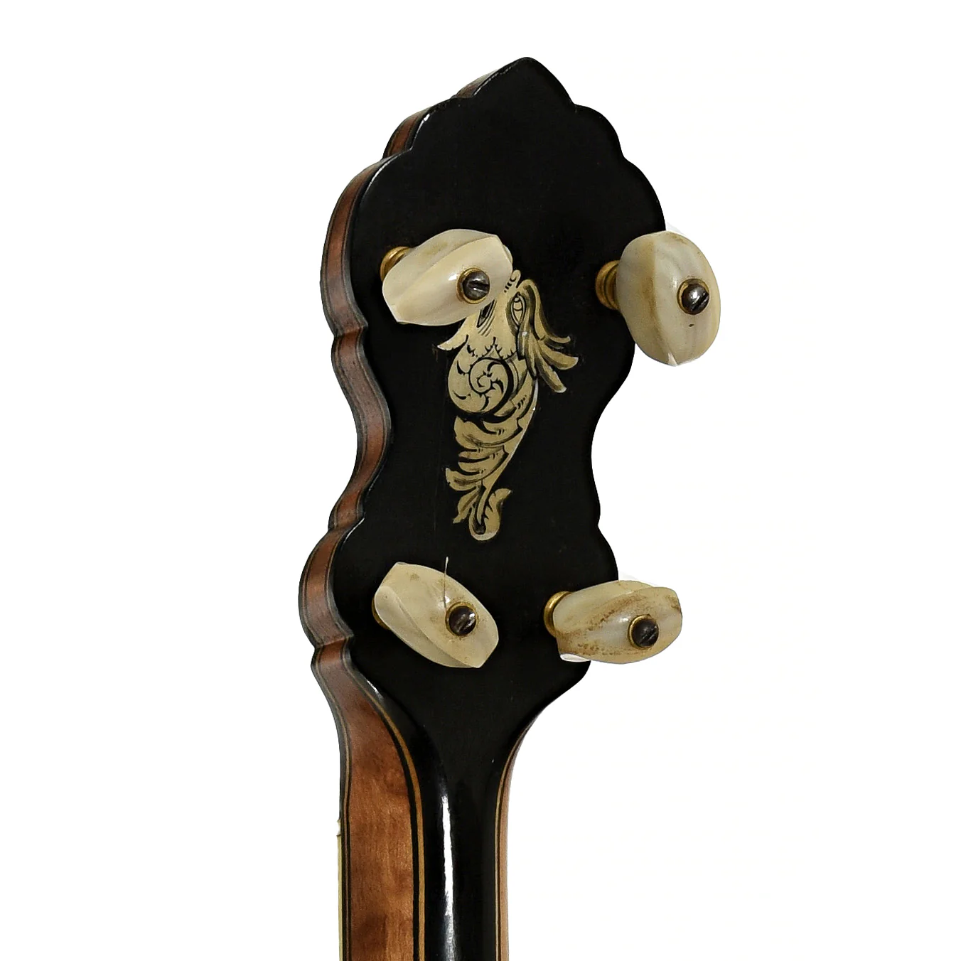Fairbanks Whyte Laydie No.7 Open Back Banjo (1909) - Image 9
