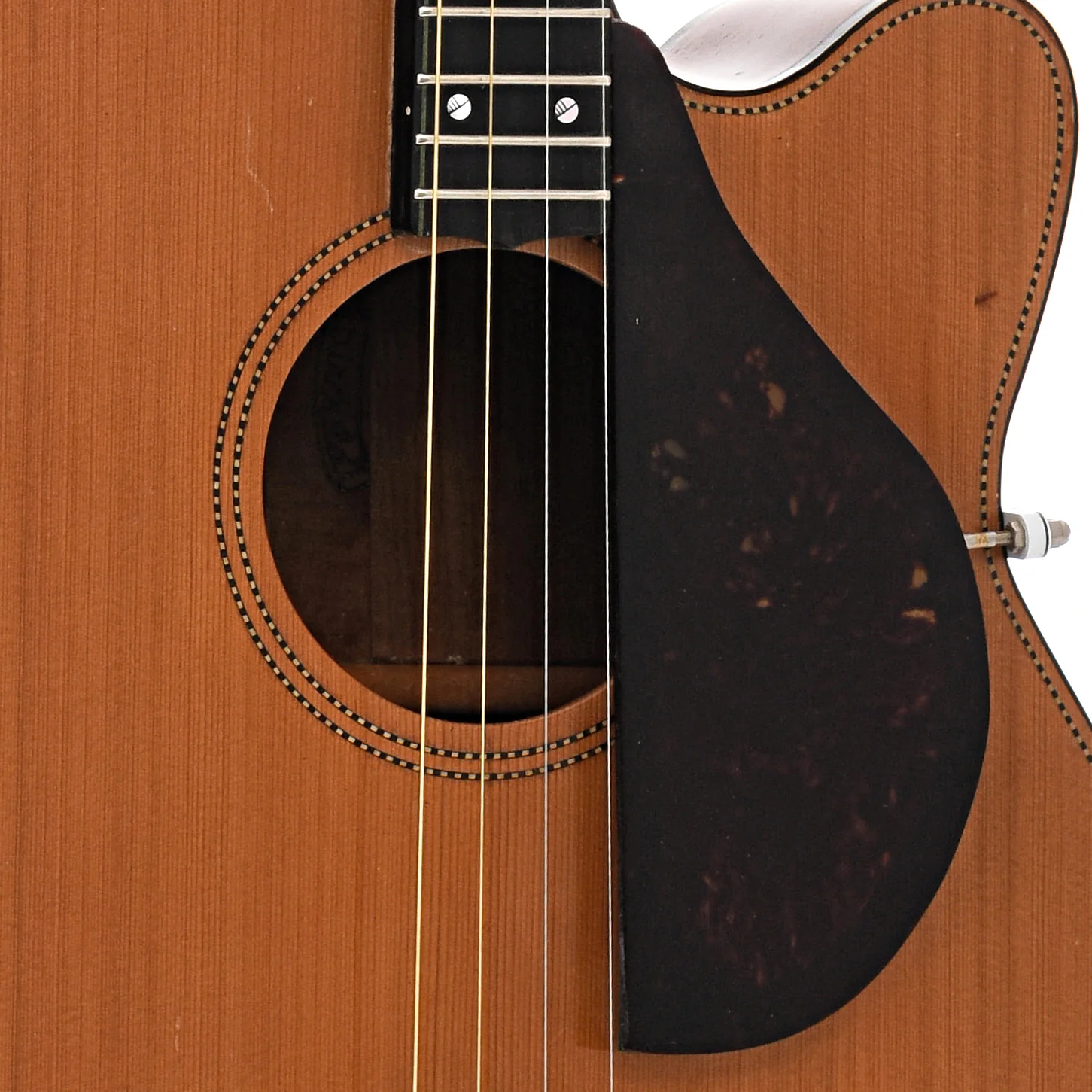 Fairchild Tenor Guitar (c.2011) - Image 6