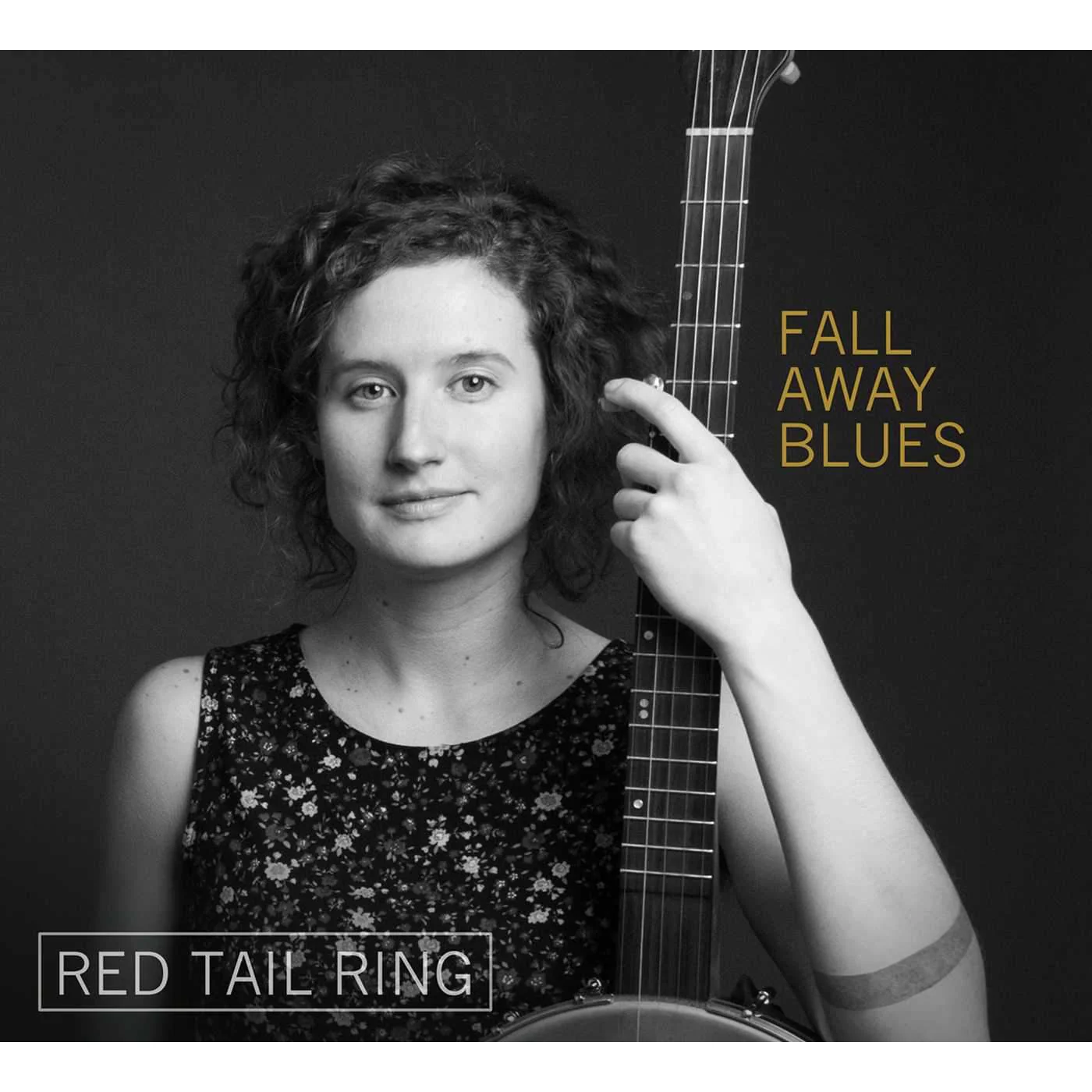 Fall Away Blues - Image 2