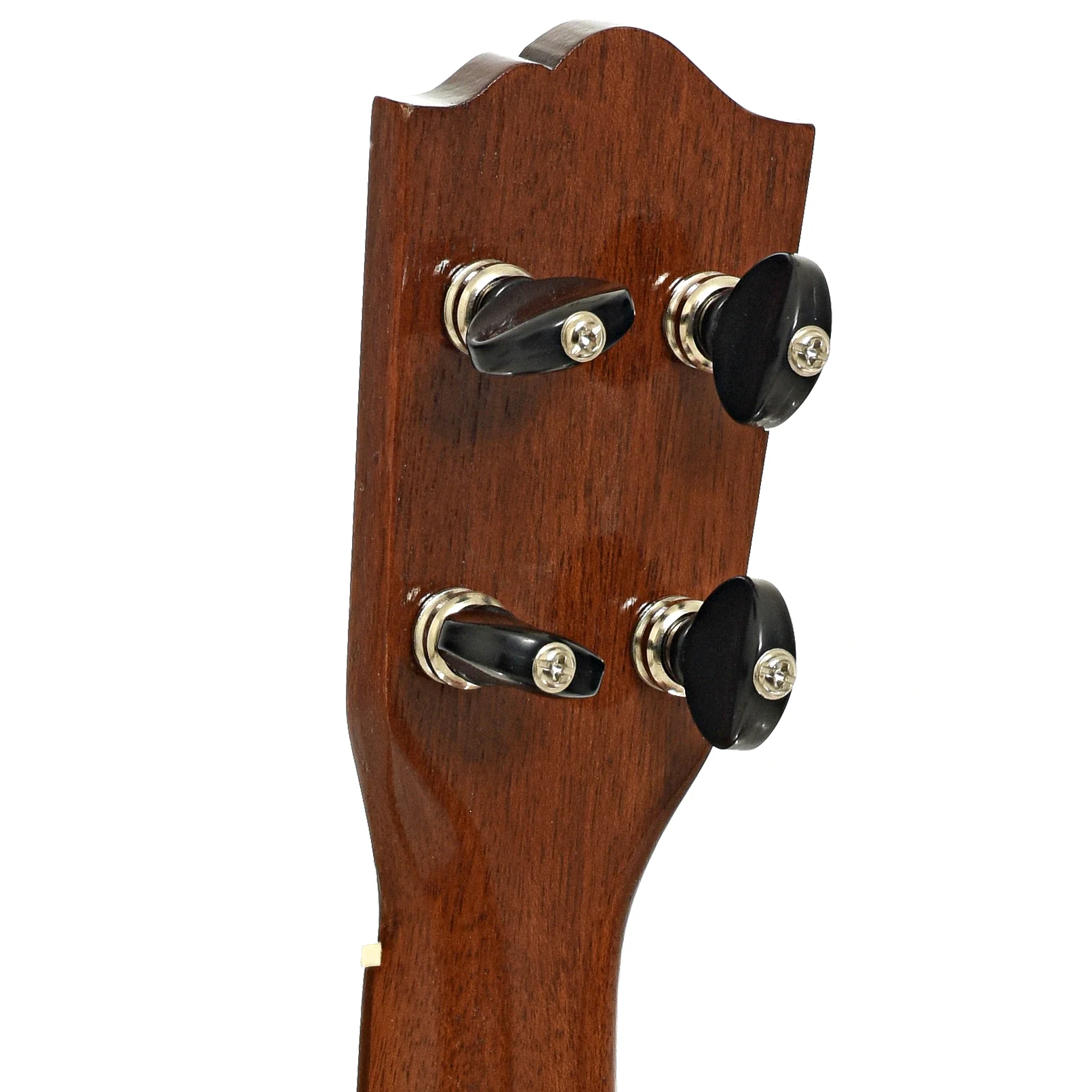 Farida Deal Pack, Concert Ukulele - Image 10