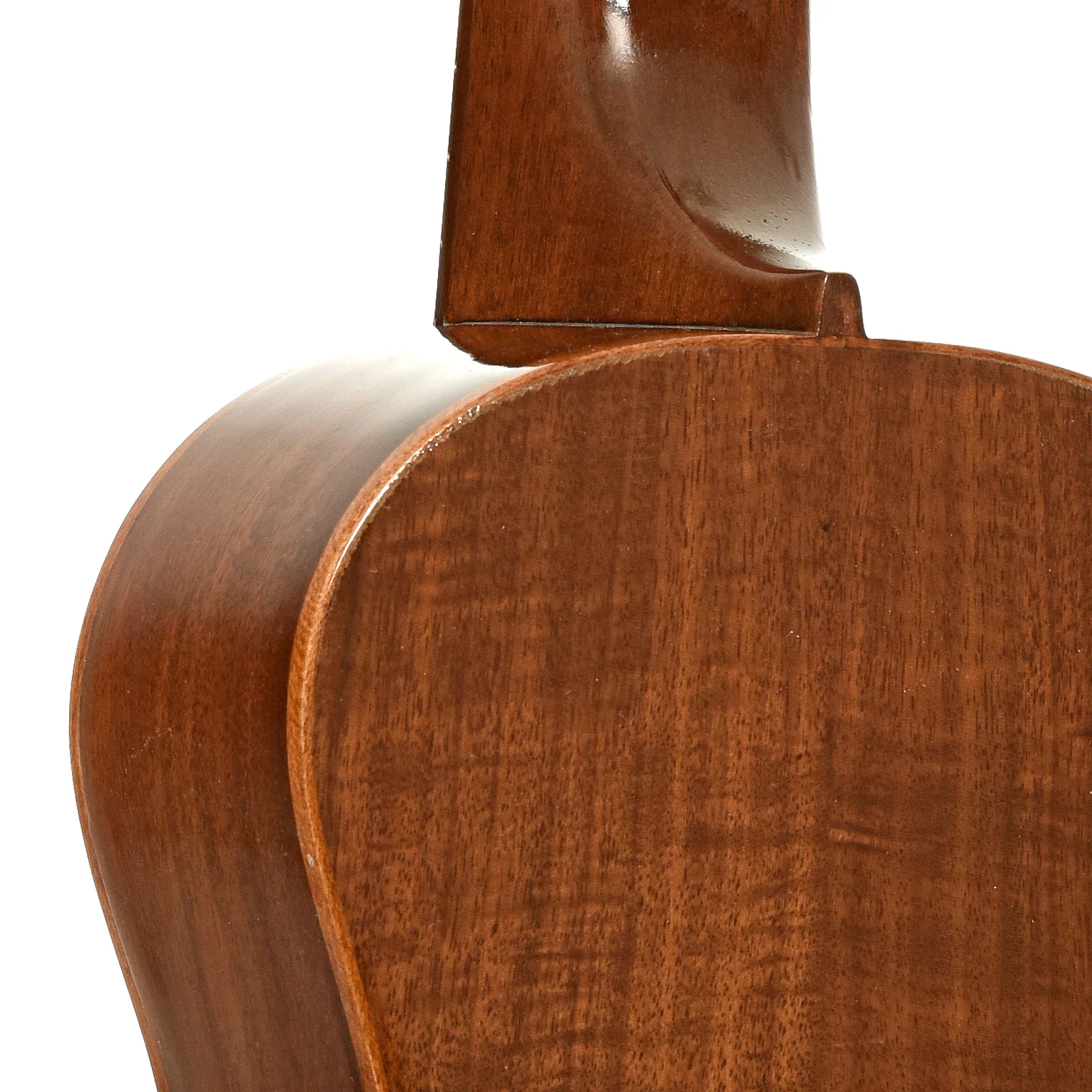 Farida Deal Pack, Concert Ukulele - Image 11