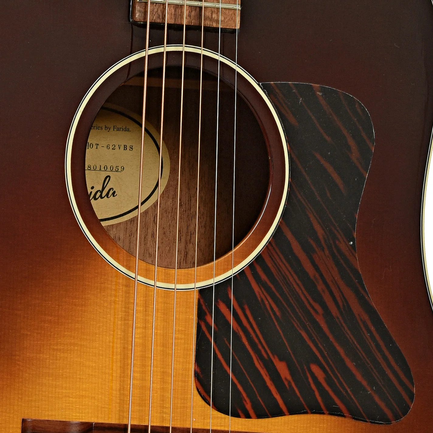Farida Deal Pack, Solid Top Dreadnought Acoustic Guitar - Image 7