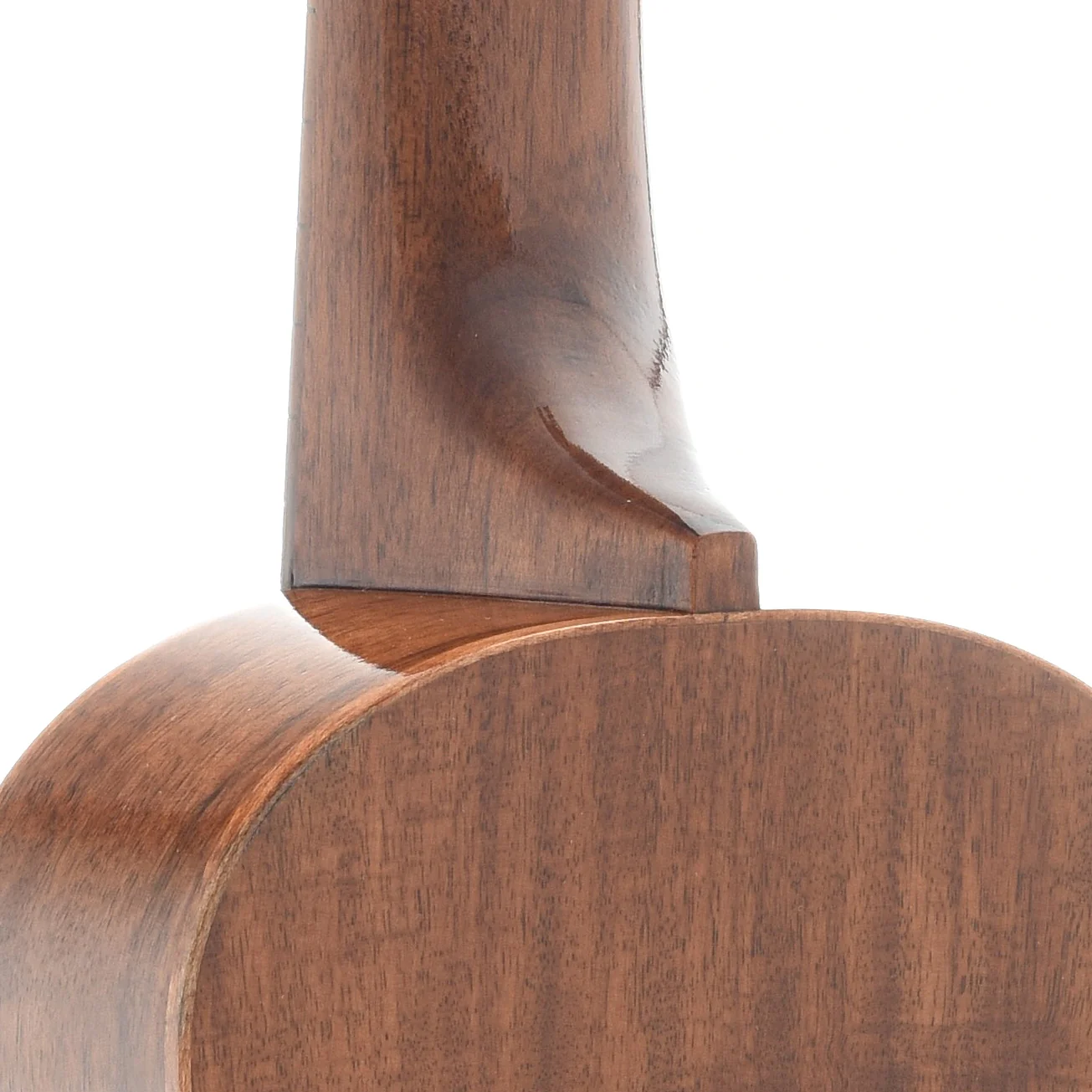Farida KAC-5 NC Concert Ukulele - Image 10