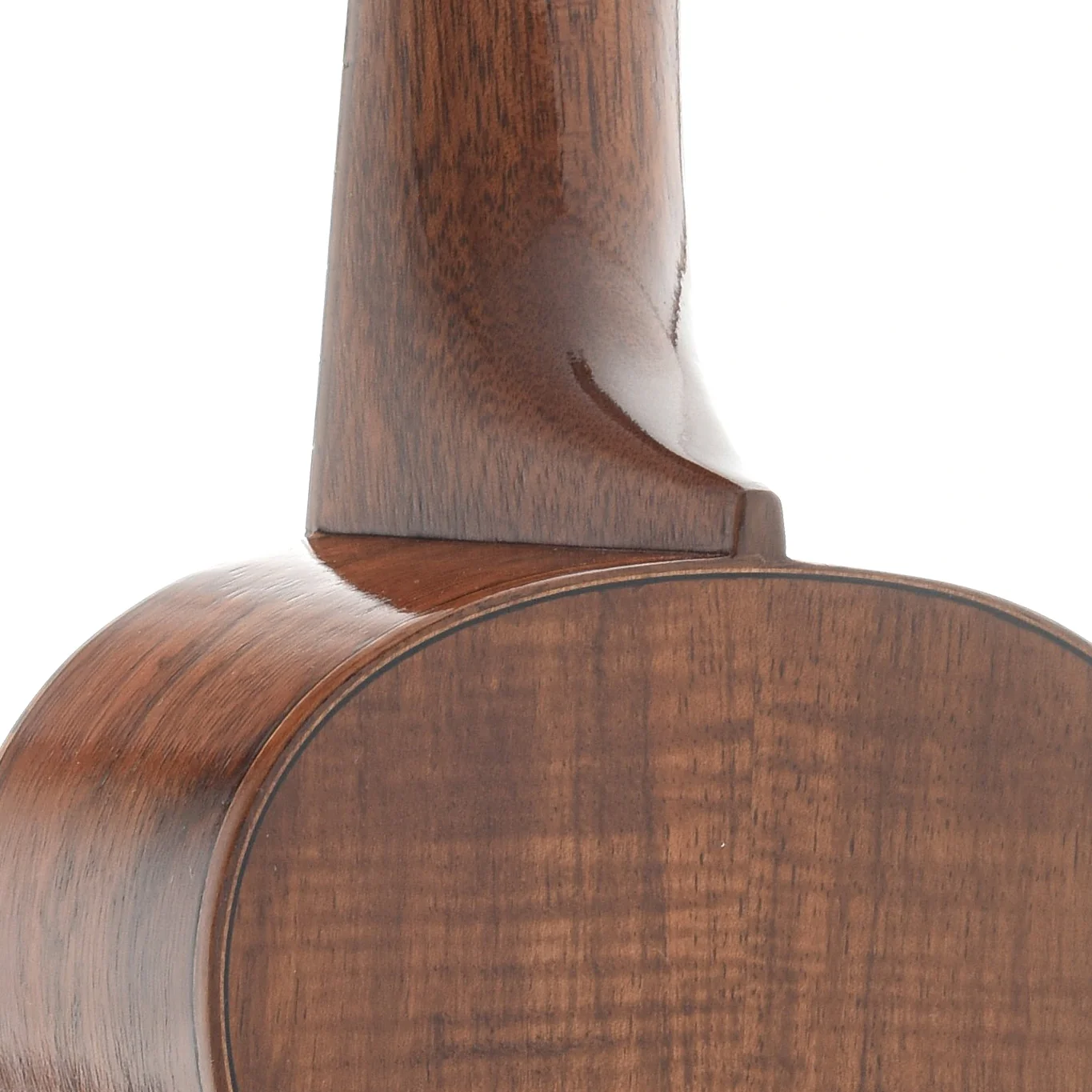 Farida KKC-8 NC Concert Ukulele - Image 10