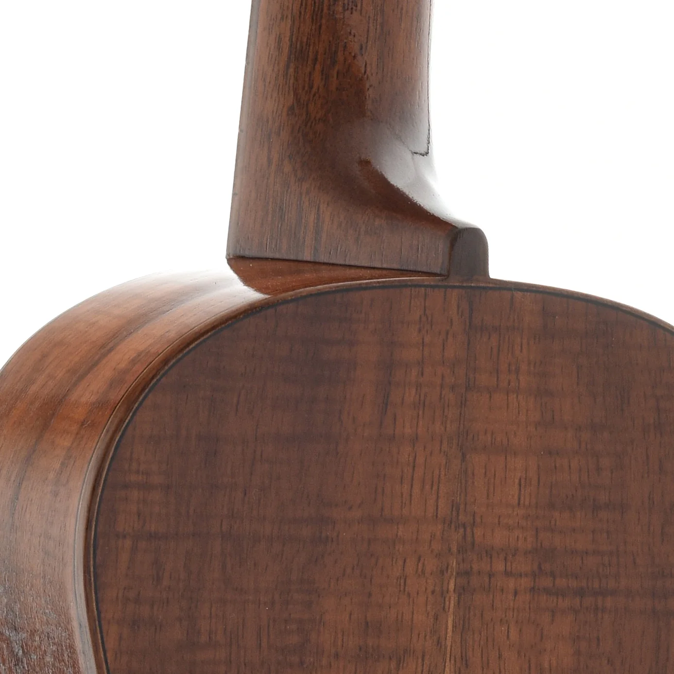 Farida KKT-8 NC Tenor Ukulele - Image 10