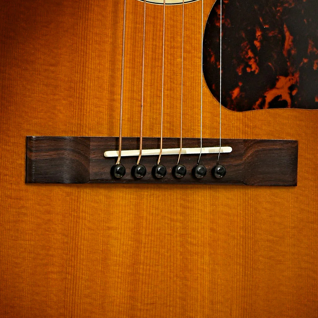 Farida OT-23 VBS W Acoustic Guitar (2016) - Image 5