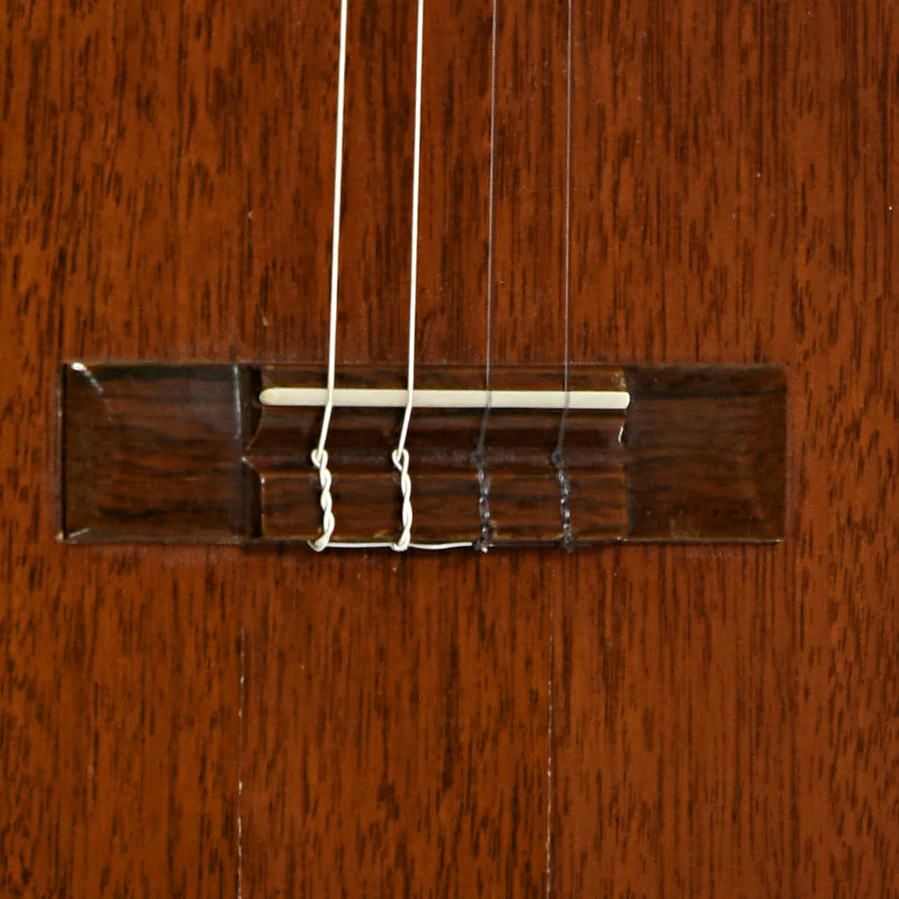 Favilla B-2 Baritone Ukulele (c.1960) - Image 5