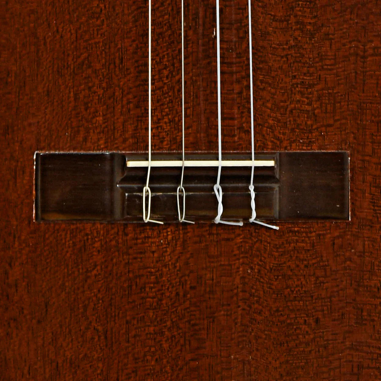 Favilla B-2 Baritone Ukulele (c.1958) - Image 5