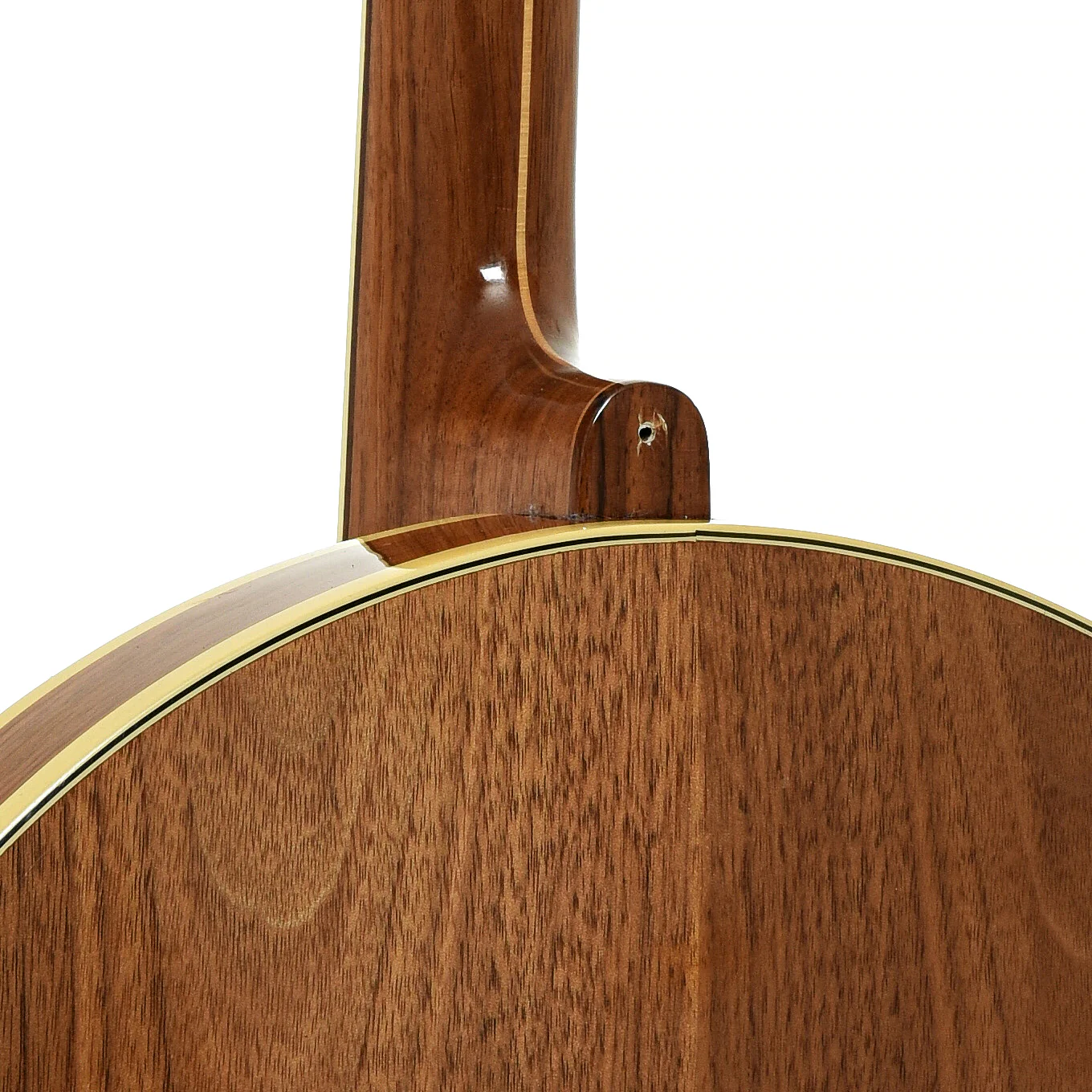 Fender Artist Tenor Banjo (early 1970s) - Image 12