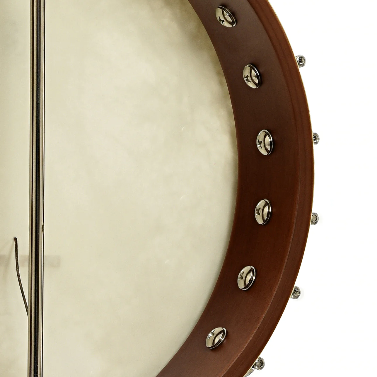Fender Paramount PB-180E Open Back Banjo & Gigbag (Recent) - Image 10