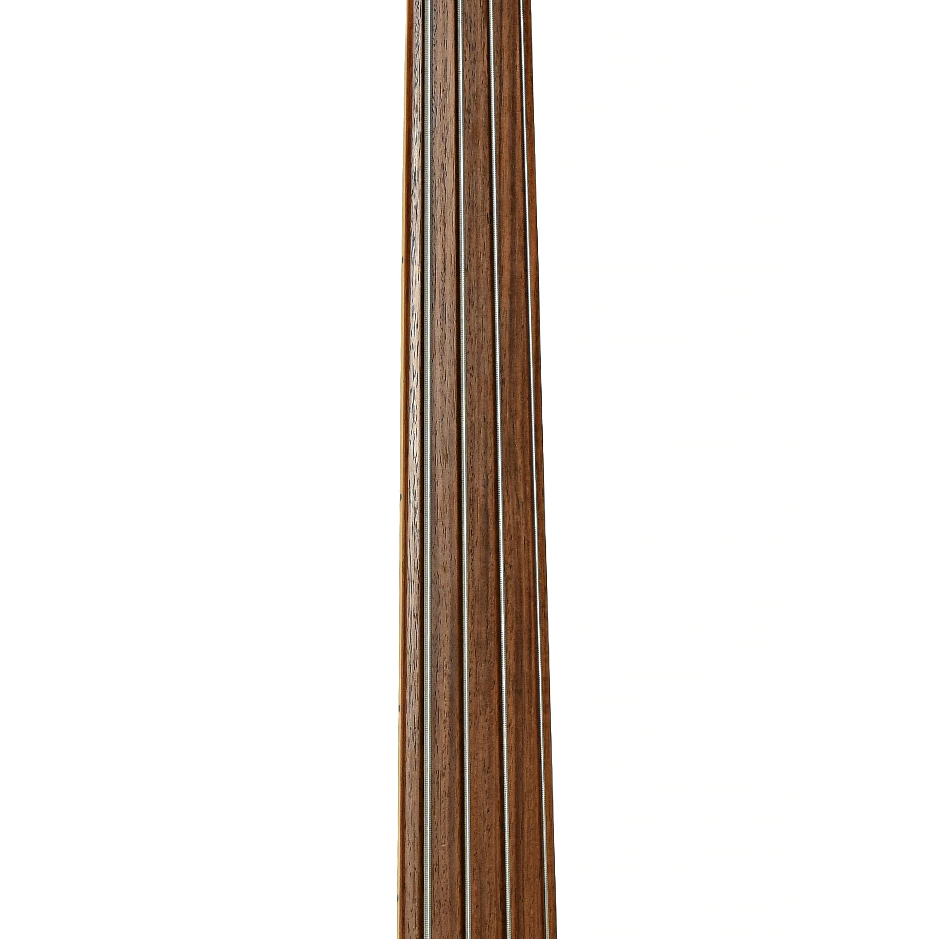 Fender Precision Fretless Electric Bass (1980) - Image 7