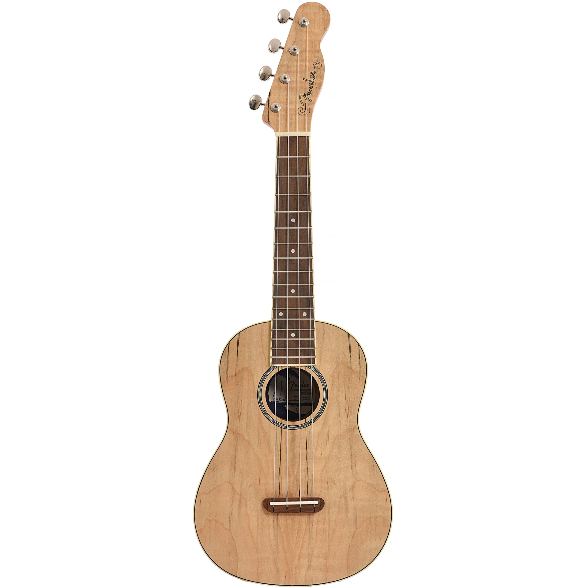 Fender Zuma Exotic Concert Ukulele, Spalted Maple - Image 13