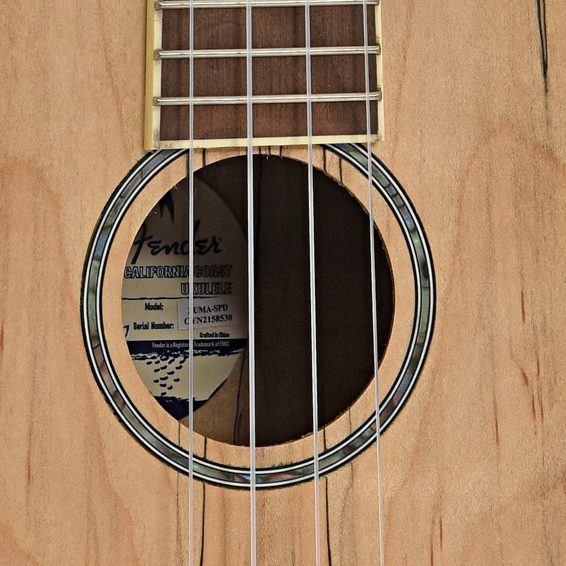 Fender Zuma Exotic Concert Ukulele, Spalted Maple - Image 6