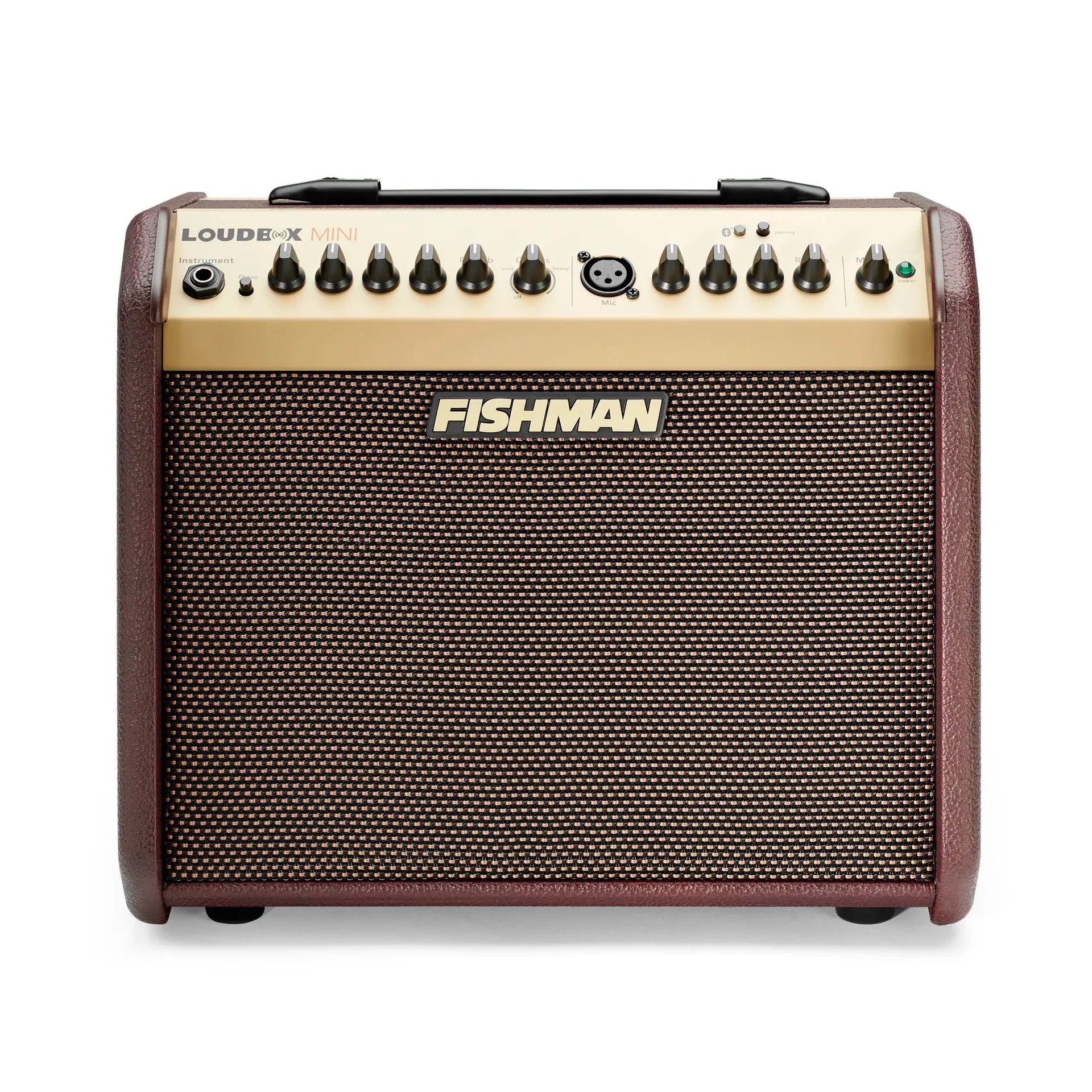 Fishman Loudbox Mini with Bluetooth Acoustic Amplifier - Image 2