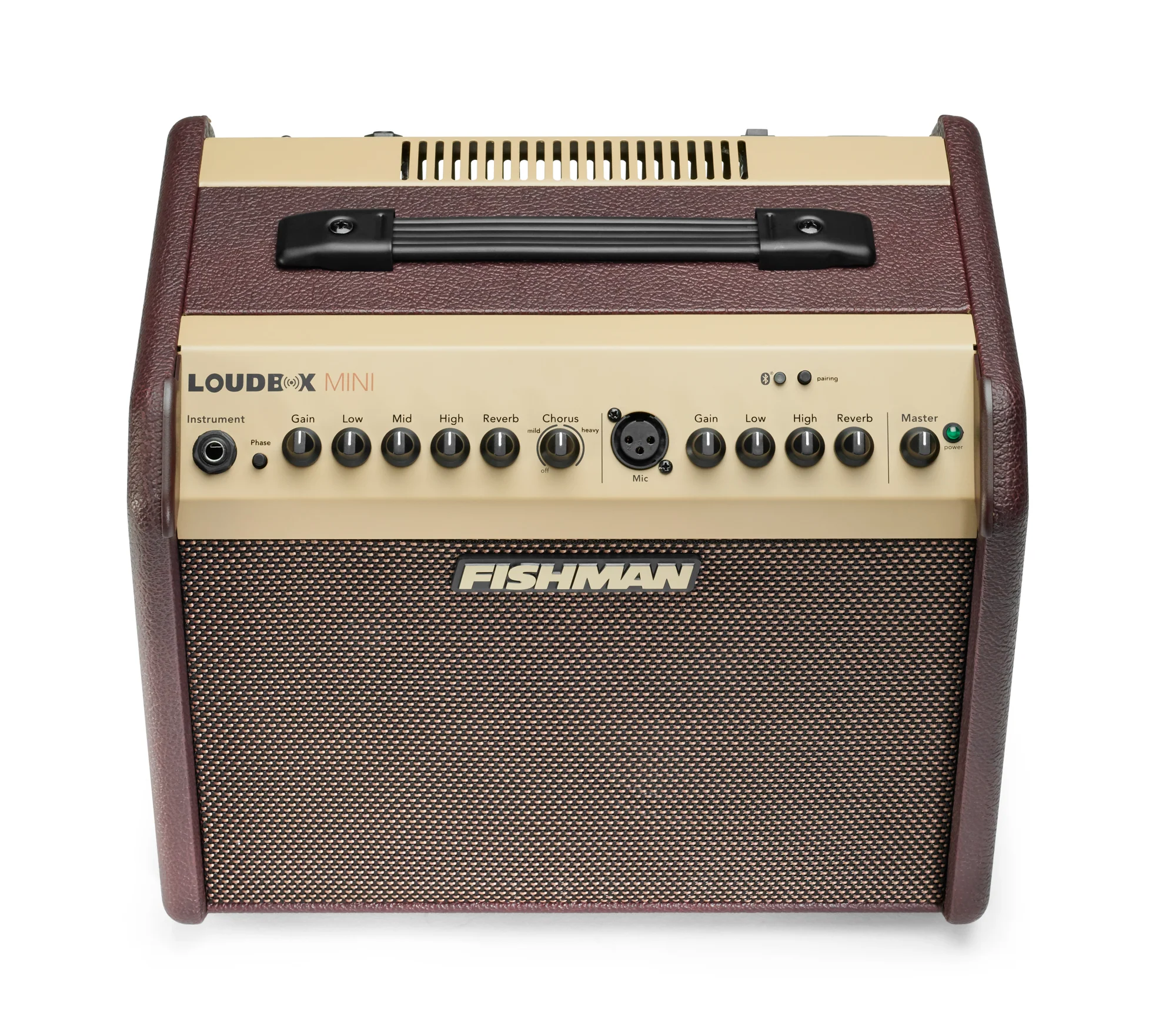 Fishman Loudbox Mini with Bluetooth Acoustic Amplifier - Image 3
