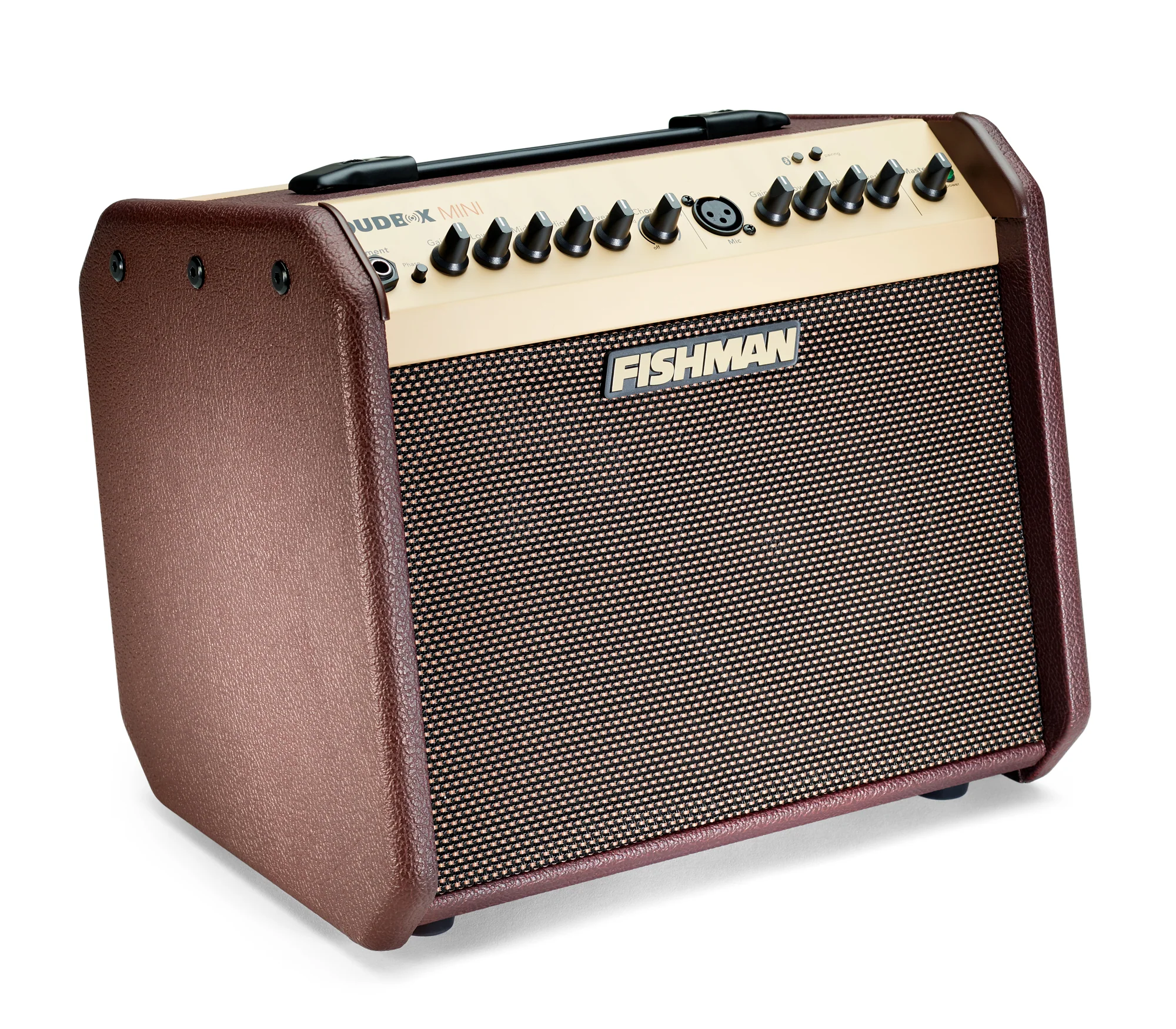 Fishman Loudbox Mini with Bluetooth Acoustic Amplifier - Image 4