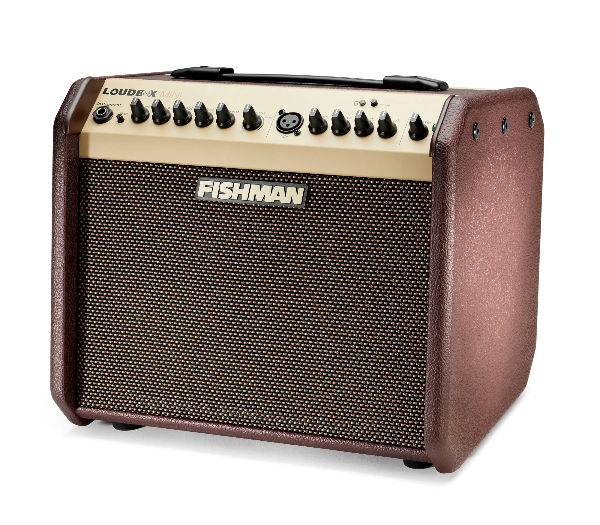 Fishman Loudbox Mini with Bluetooth Acoustic Amplifier - Image 5