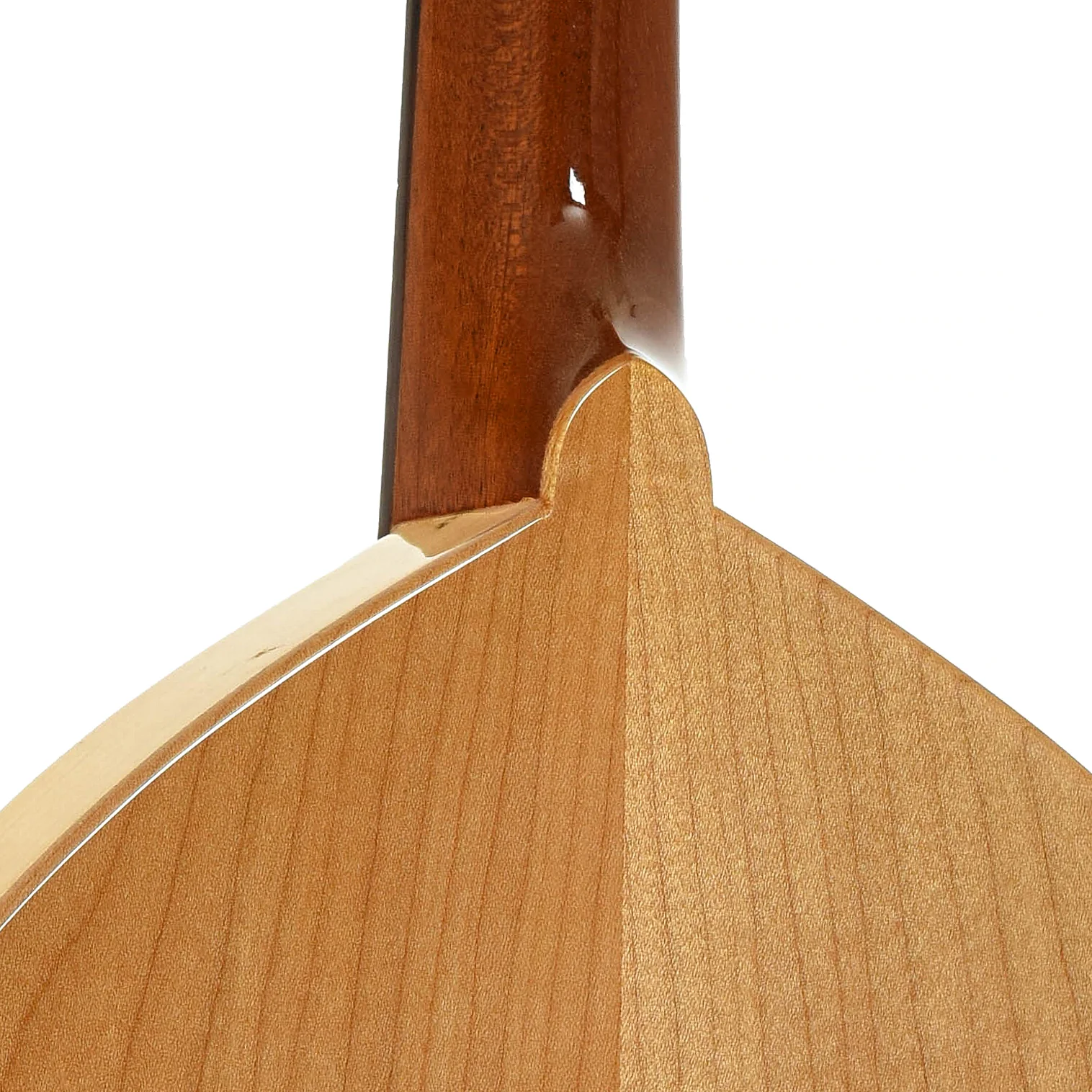Flatiron 1N Mandolin (1991) - Image 10