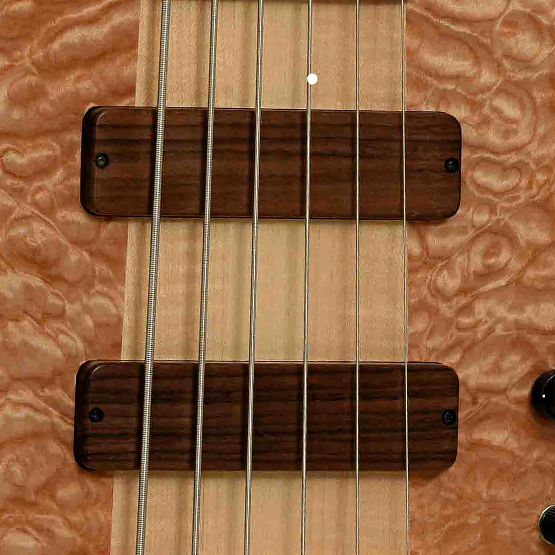 Fodera Monarch Elite 6-String Electric Bass (2000s) - Image 6