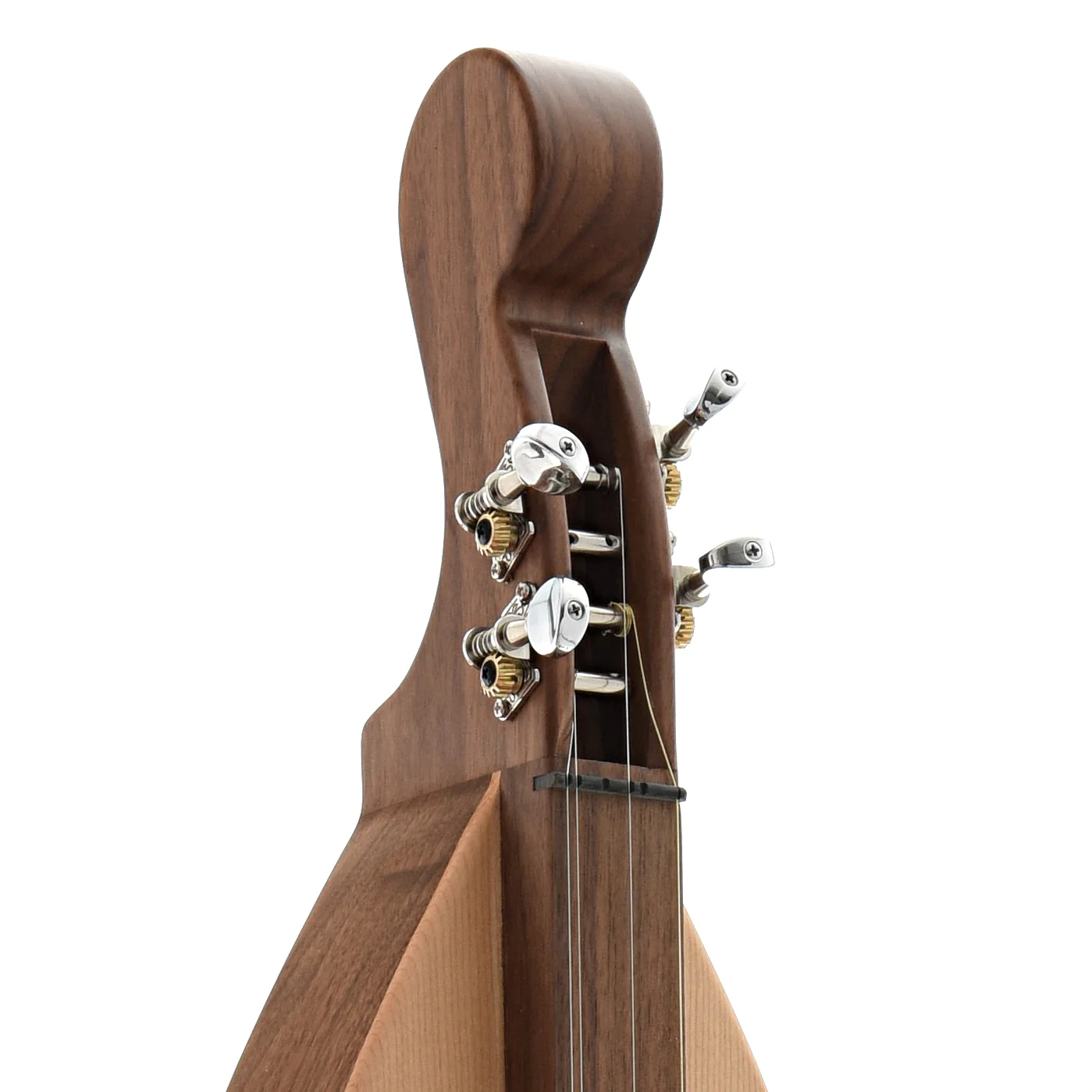 Folk Roots Walnut & Spruce 4-String Dulcimer & Gigbag - Image 5