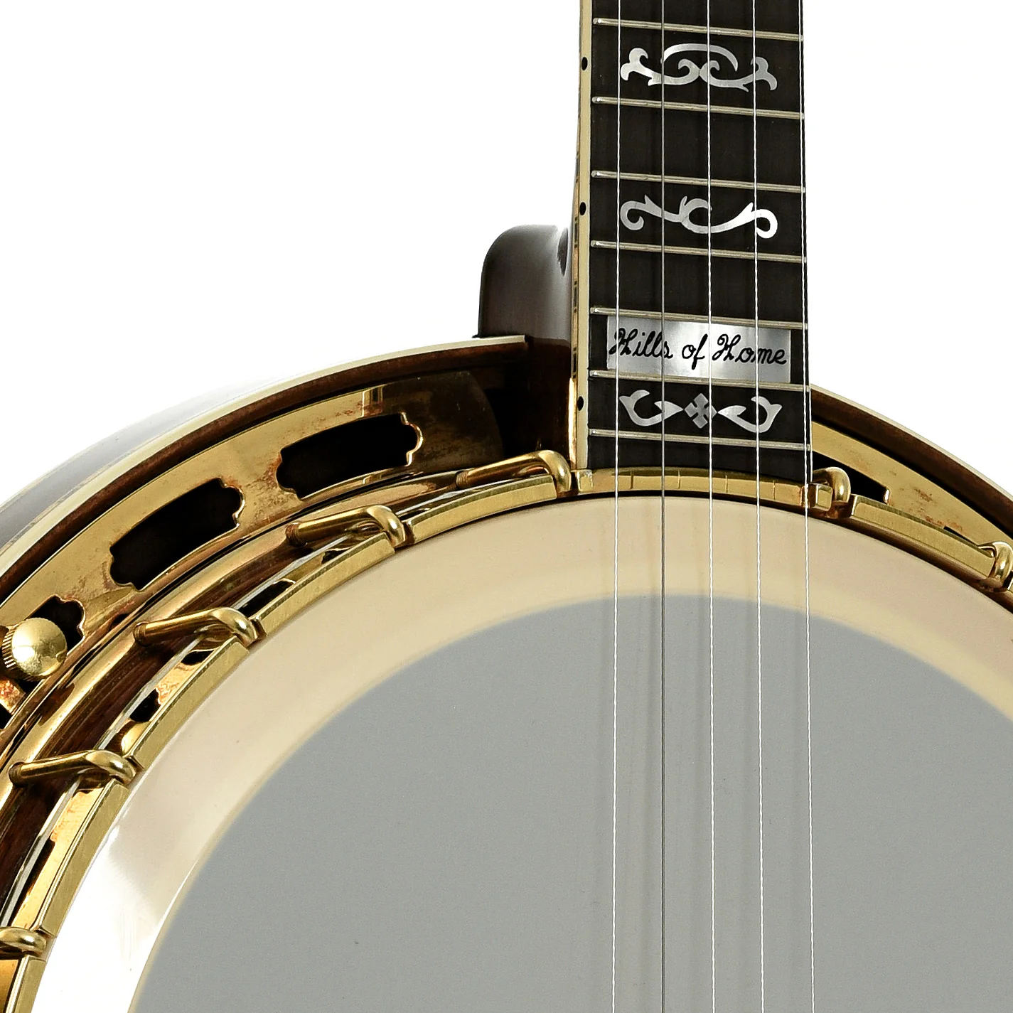 Frank Neat Stanleytone Hills of Home Resonator Banjo (2006) - Image 6