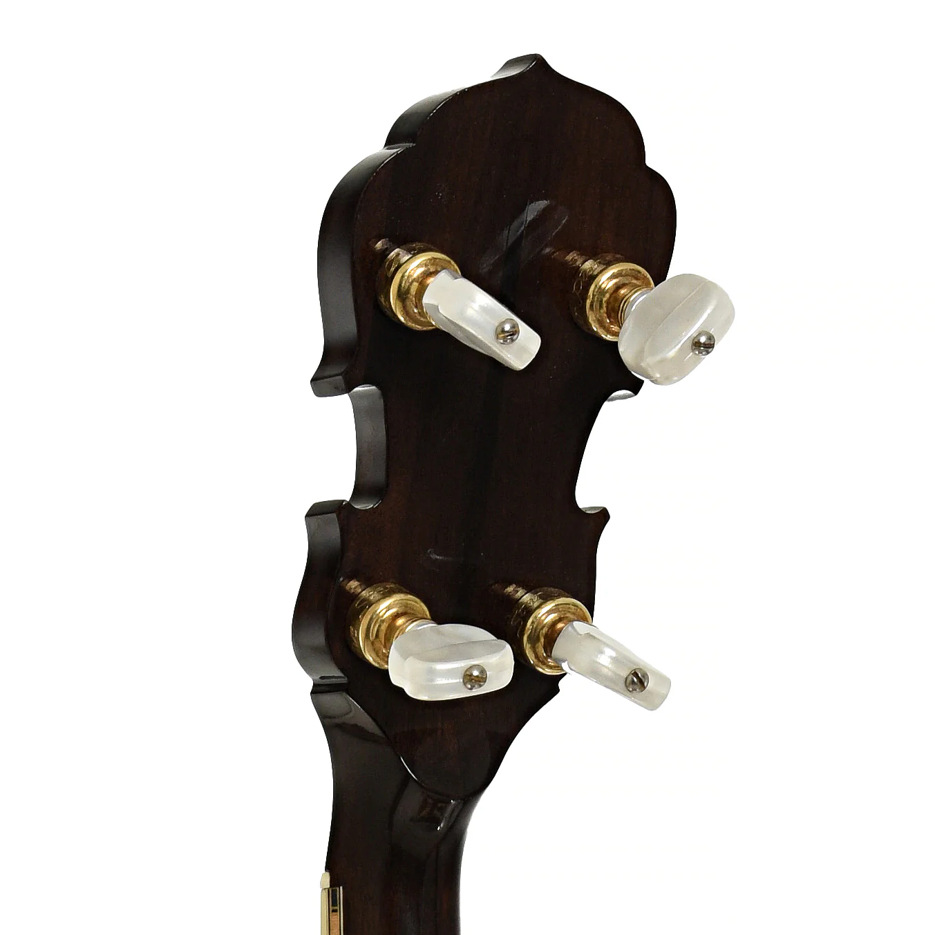 Frank Neat Stanleytone Hills of Home Resonator Banjo (2006) - Image 9