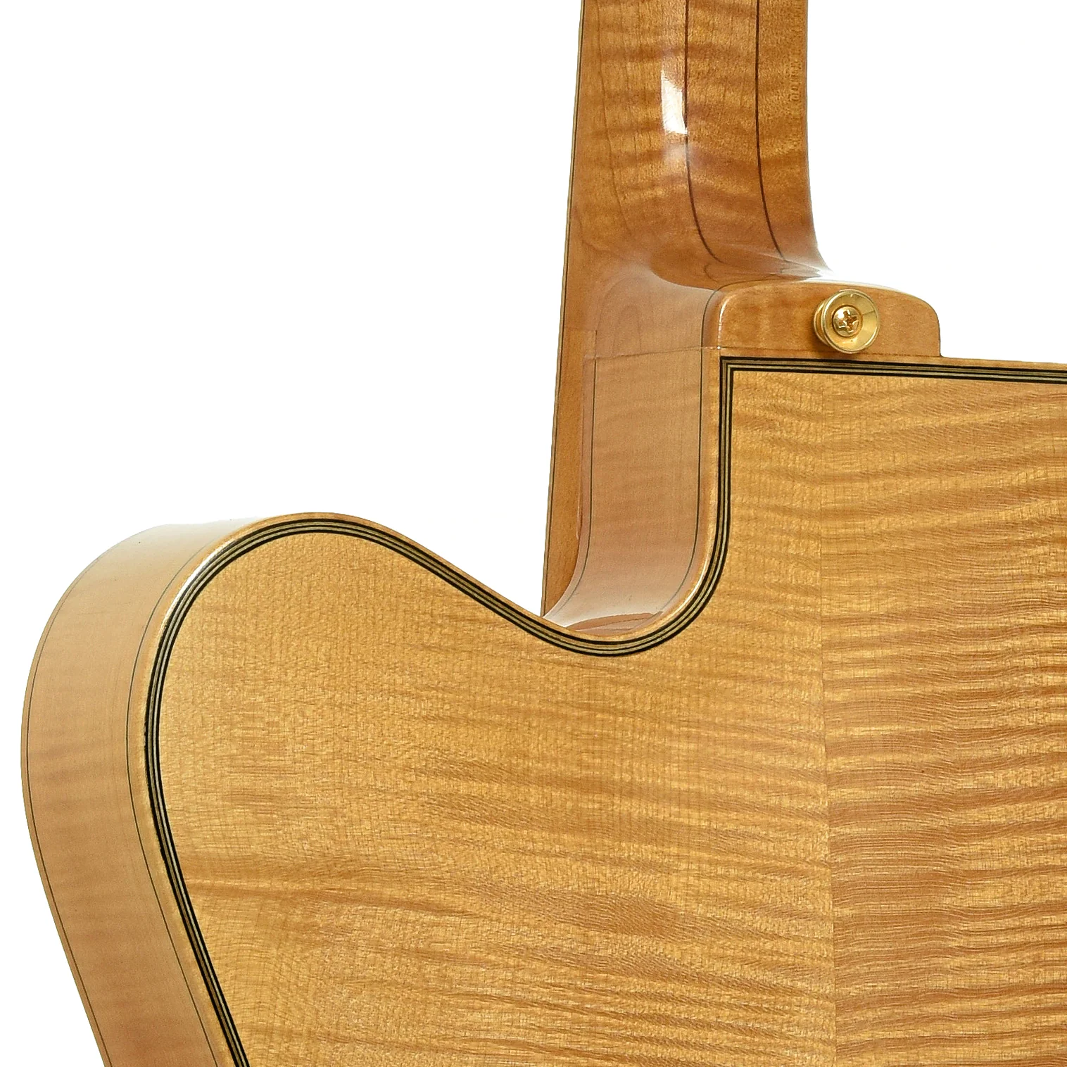 Gagnon Composer 17 in. Archtop Guitar (2005) - Image 10