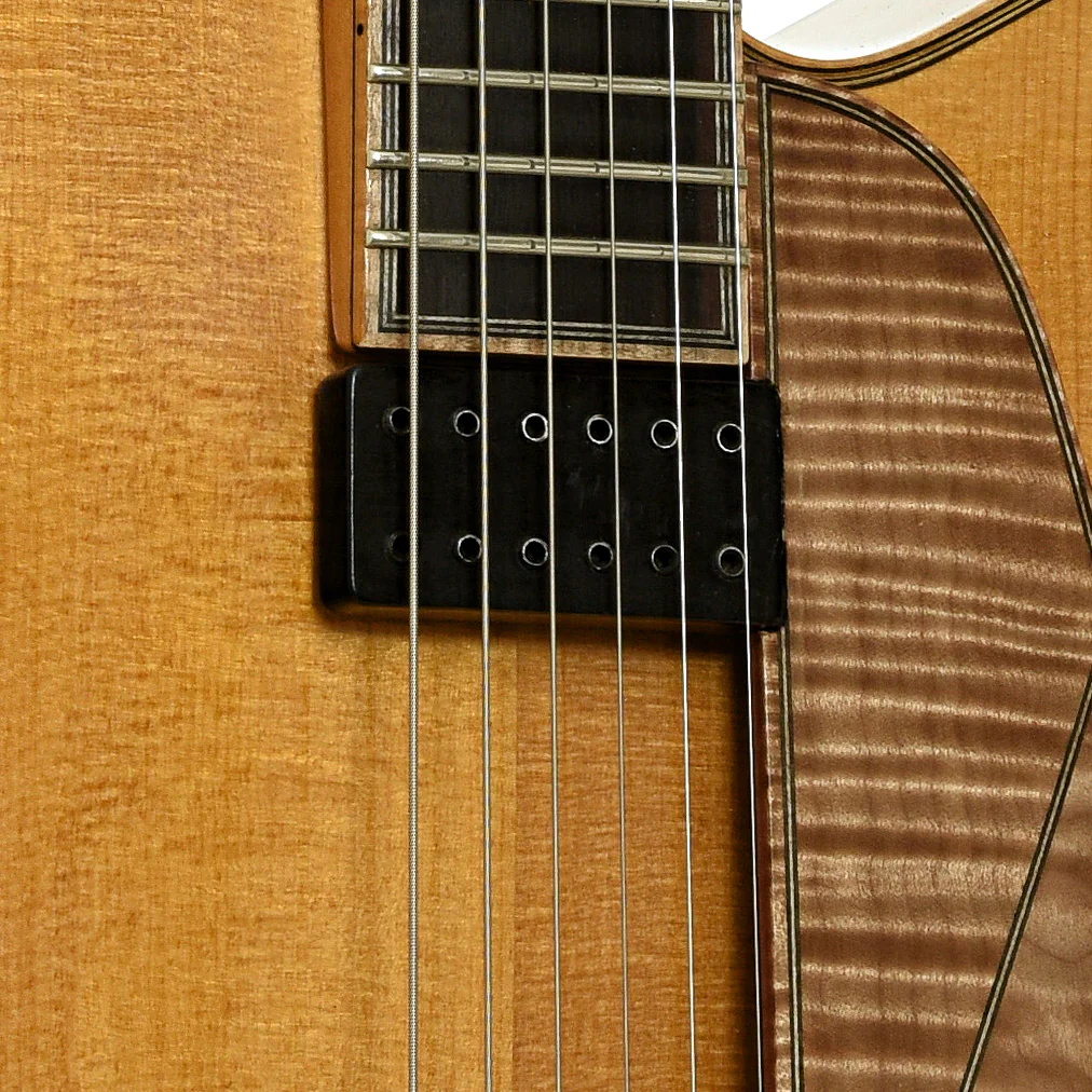 Gagnon Composer 17 in. Archtop Guitar (2005) - Image 6