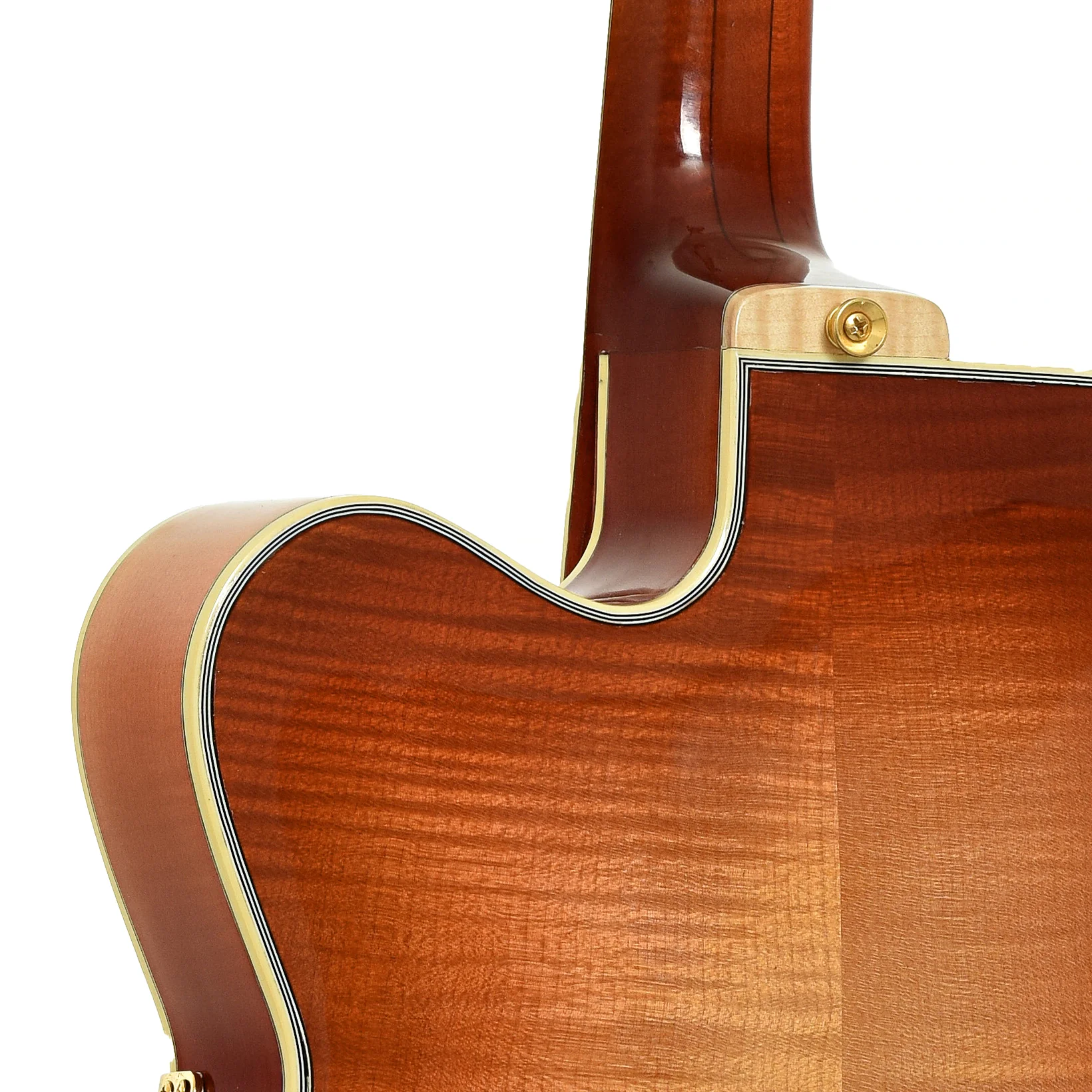 Gagnon 17 in. Metro Prototype Archtop Guitar (2005) - Image 10