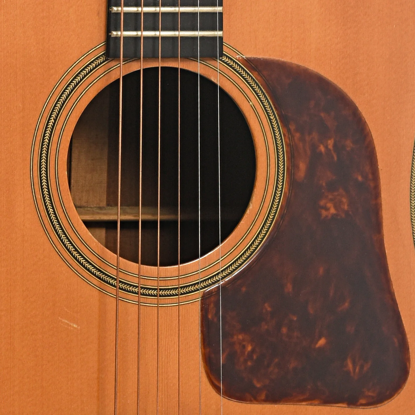 Gallagher Doc Watson Acoustic Guitar (1998) - Image 6