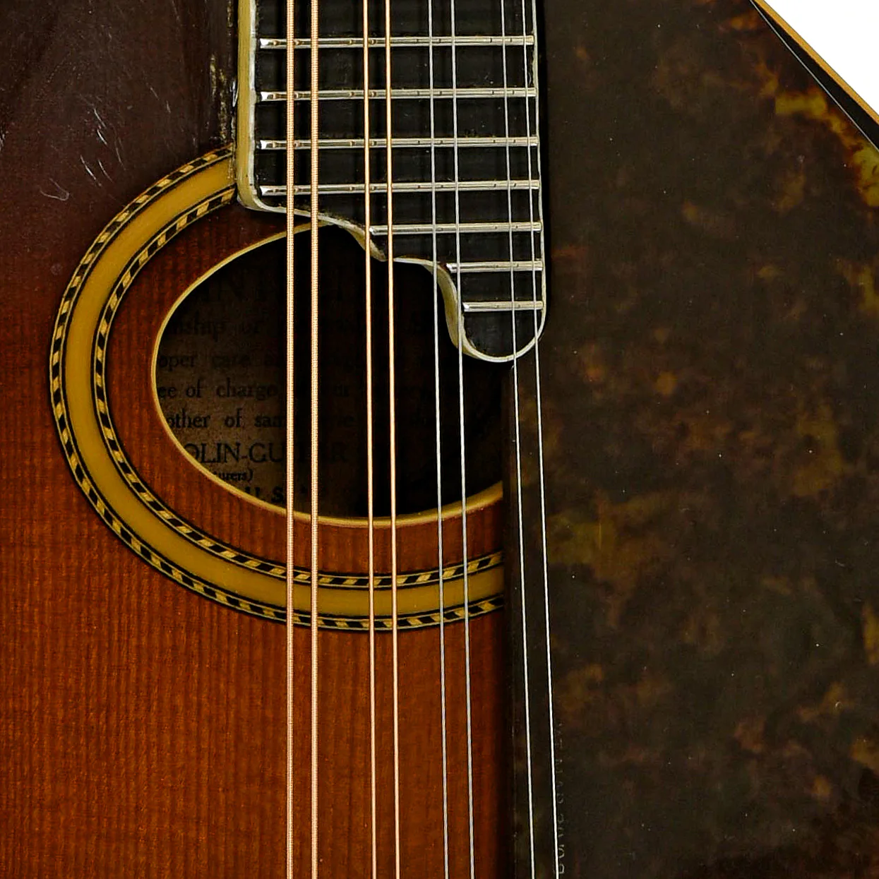 Gibson A-4 Mandolin (1917) - Image 6