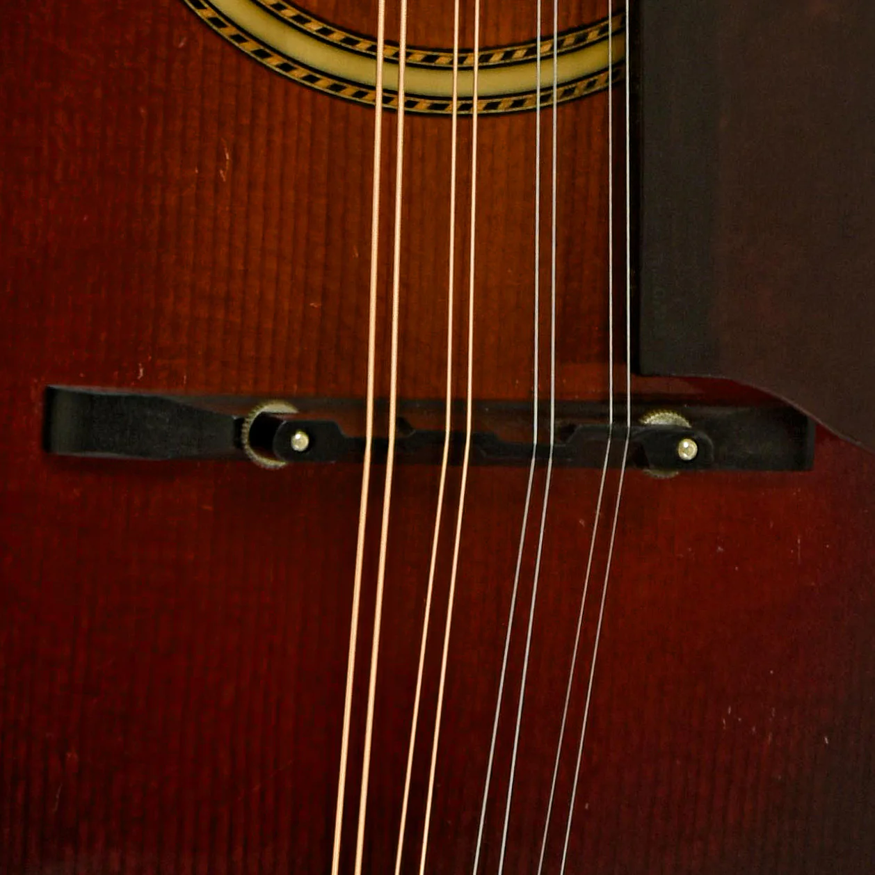 Gibson A-4 Mandolin (1923) - Image 5