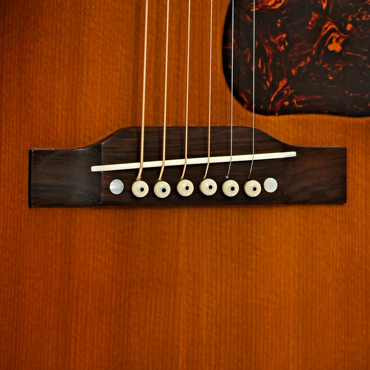 Gibson CF-100 Acoustic Guitar (1950) - Image 5