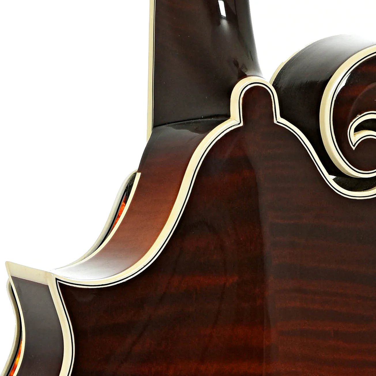 Gibson F-5 Fern Mandolin (2015) - Image 10