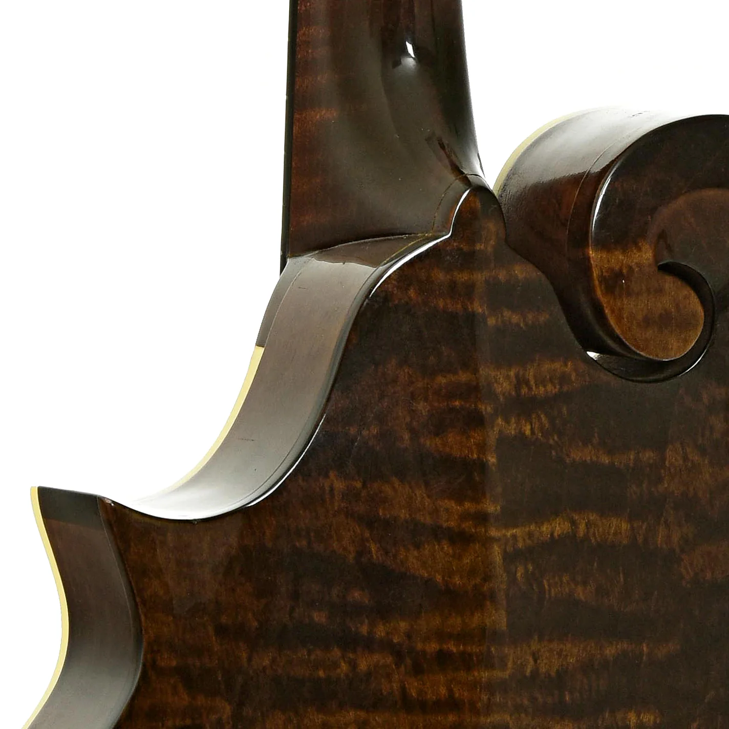 Gibson F-5G Mandolin (2002) - Image 10