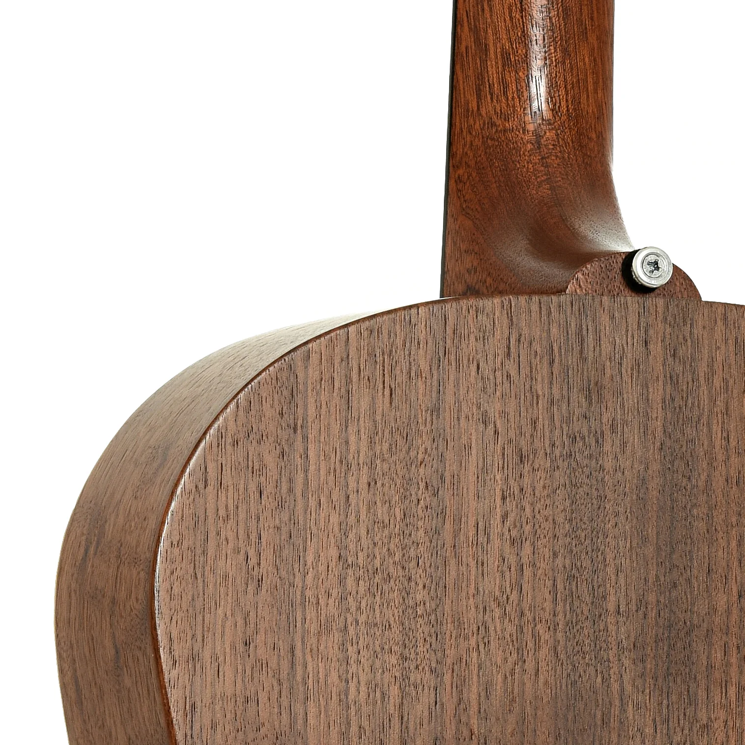 Gibson G-45 Acoustic Guitar (2021) - Image 10