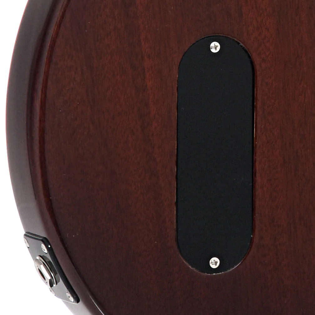 Gibson Les Paul Jr (2019) - Image 10