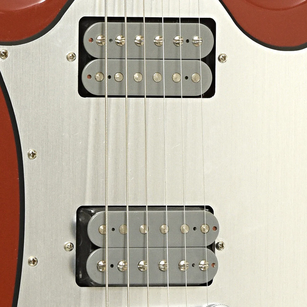 Gibson Limited Edition SG Platinum Electric Guitar (2004) - Image 6