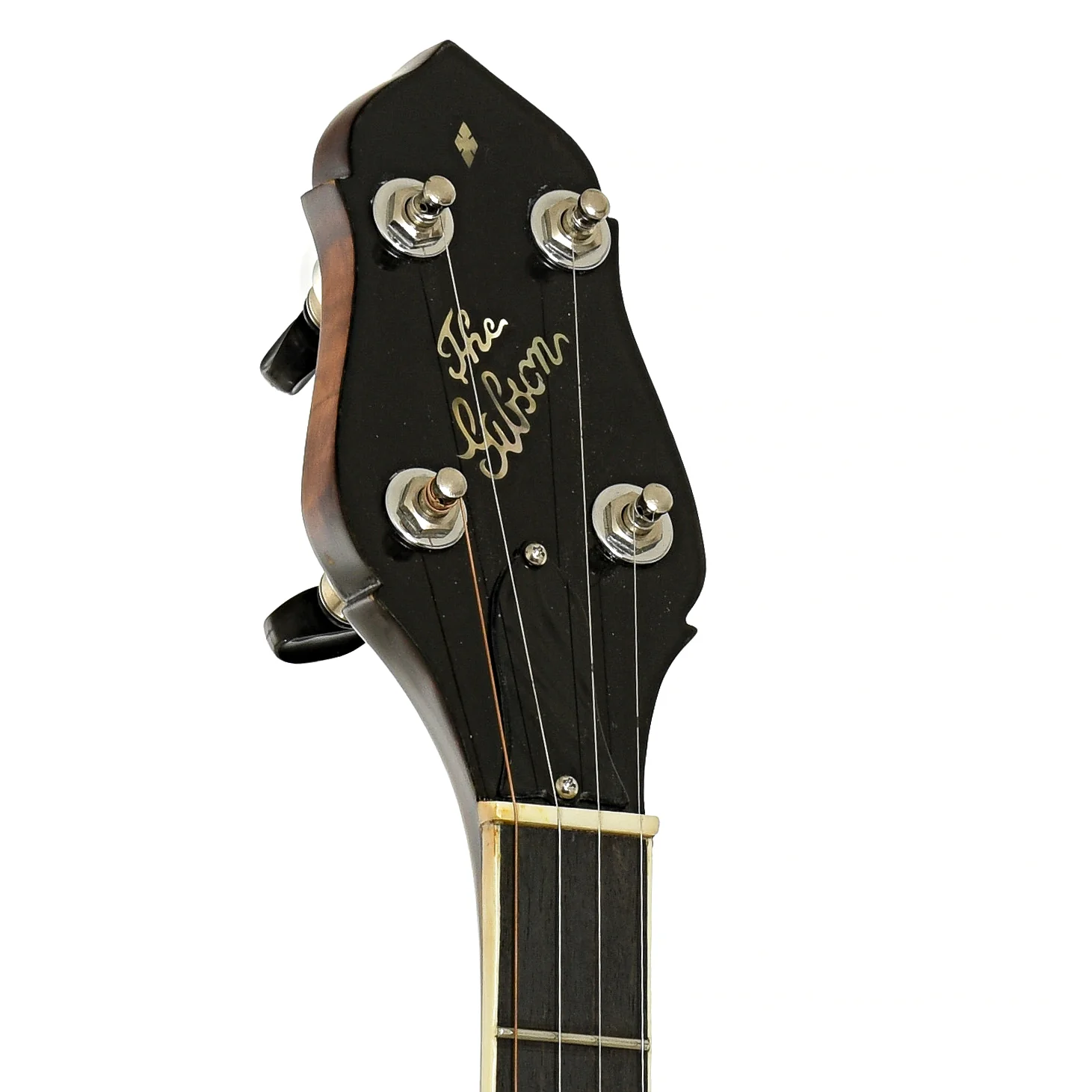 Gibson TB-1 Trapdoor Conversion Banjo (1924) - Image 8