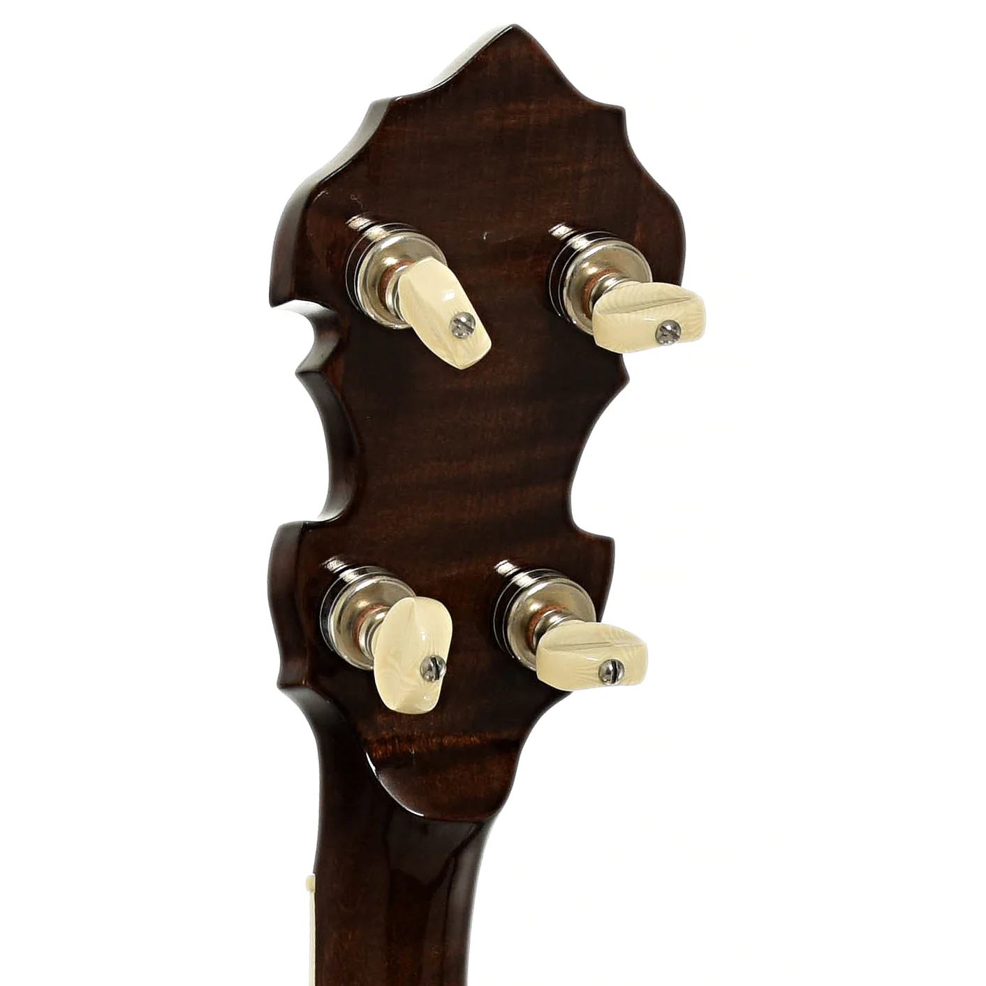 Gibson TB-100 Conversion Resonator Banjo (1959) - Image 9