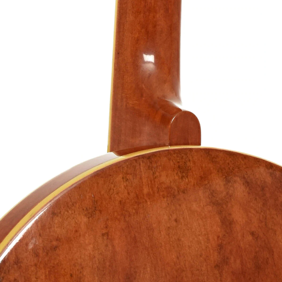Gibson TB-3 Conversion Banjo (1927) - Image 12