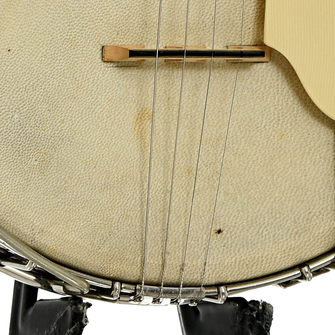 Gibson TB Tenor Banjo (1922) - Image 5