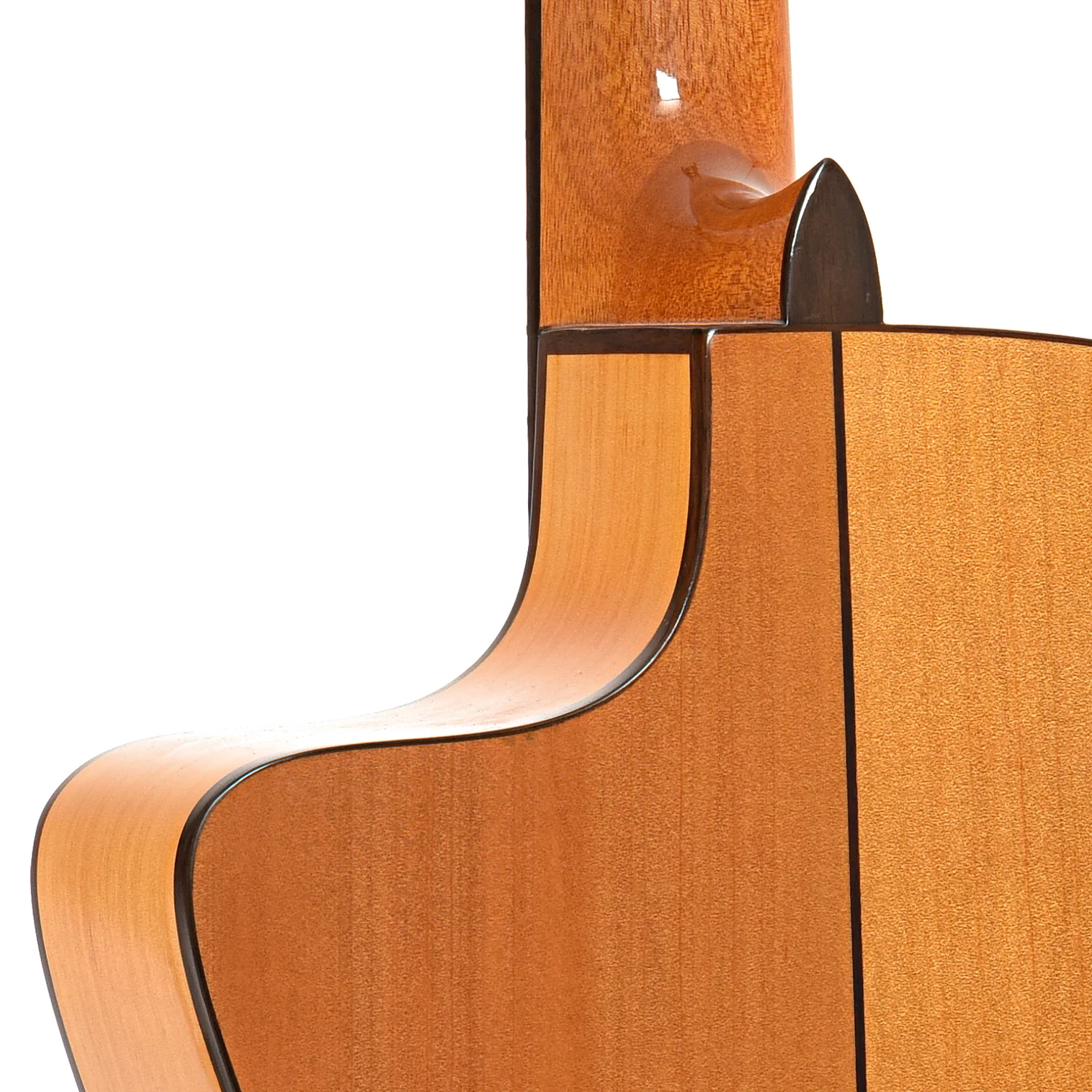 Cordoba GK Studio Flamenco Acoustic-Electric Guitar (2013) - Image 10