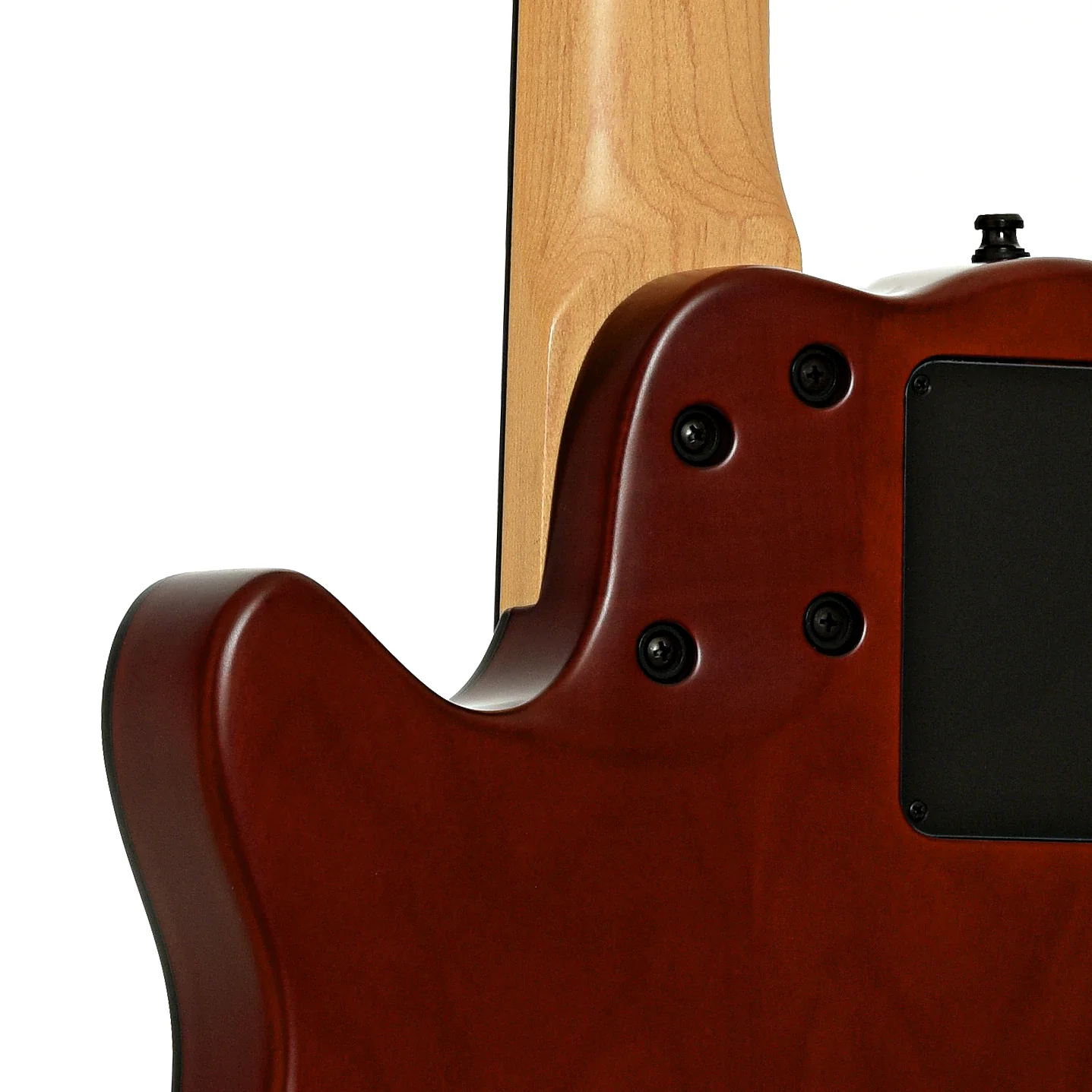 Godin A5 Ultra Fretless 5-String Acoustic-Electric Bass (2018) - Image 10
