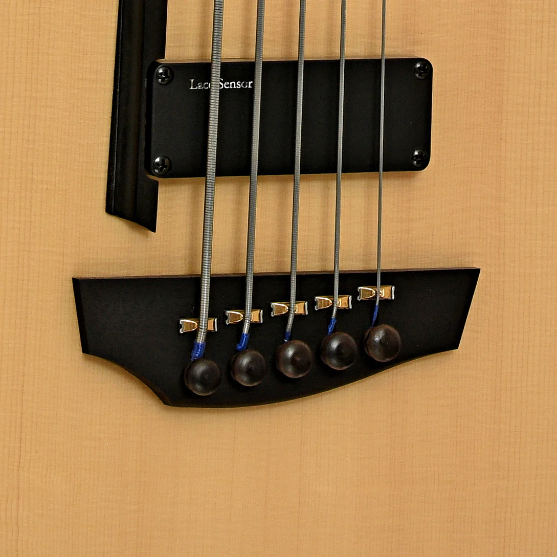 Godin A5 Ultra Fretless 5-String Acoustic-Electric Bass (2018) - Image 5
